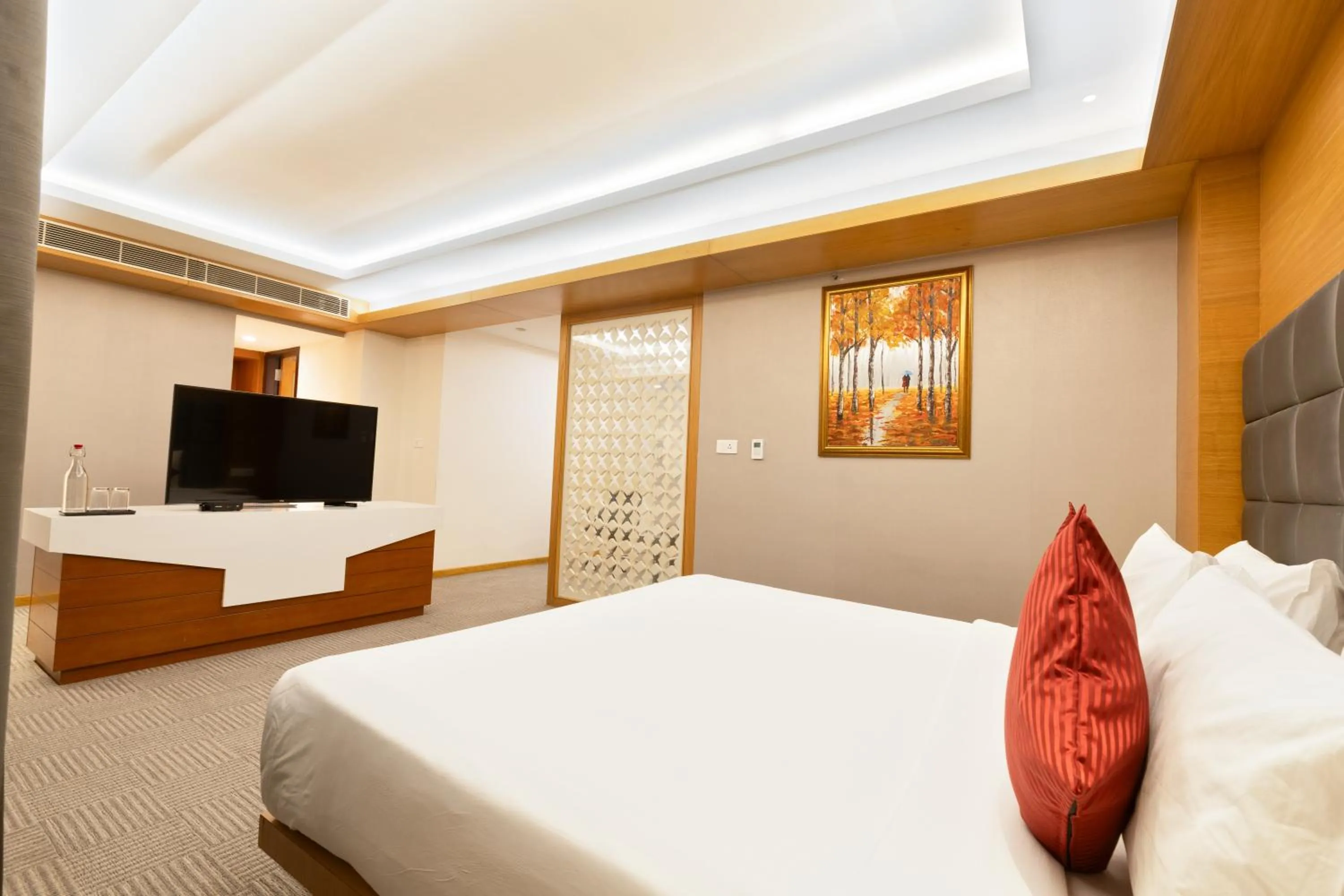 Living room, Bed in CJ Pallazzio,Salem