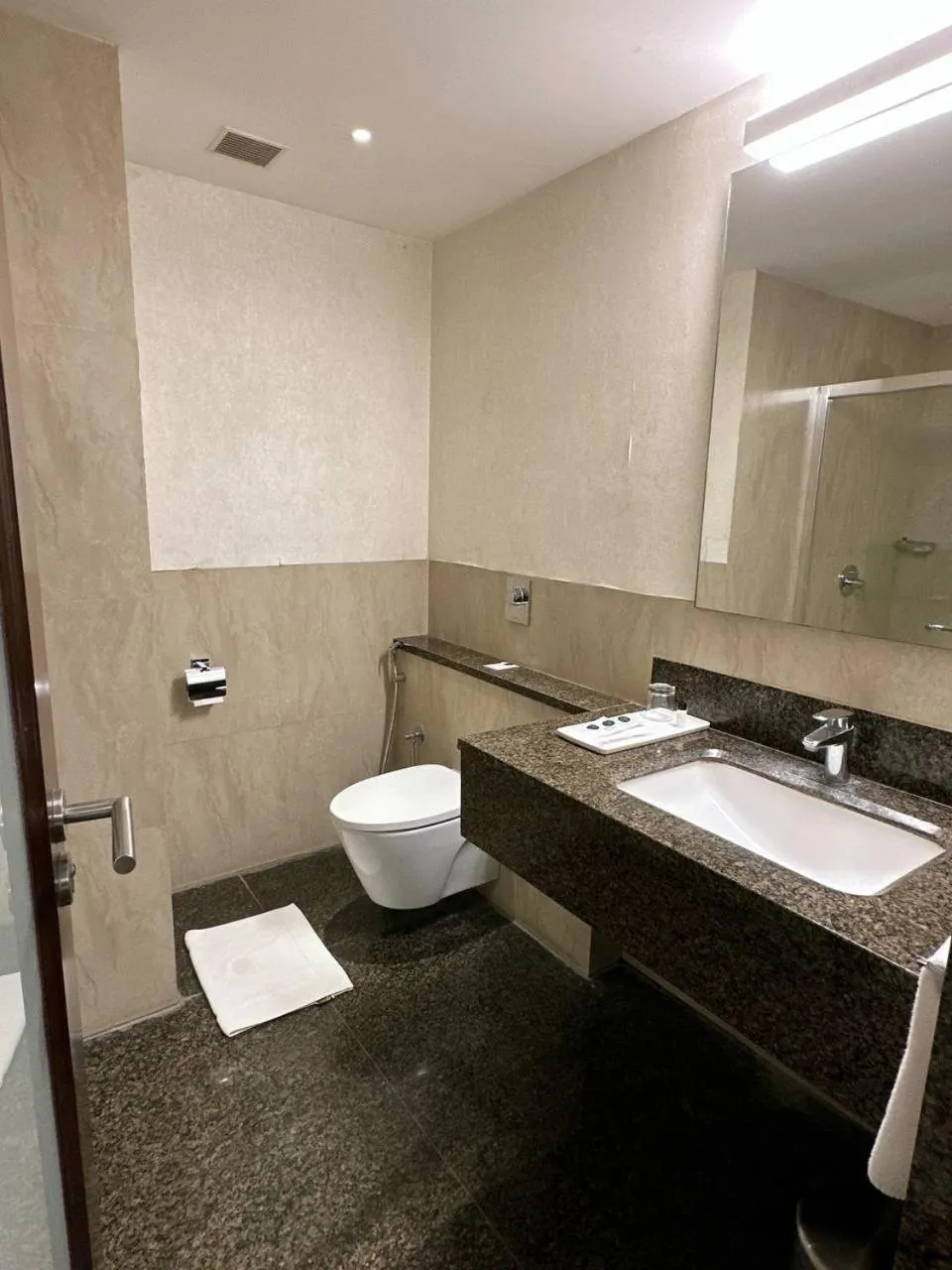 Bathroom in CJ Pallazzio,Salem