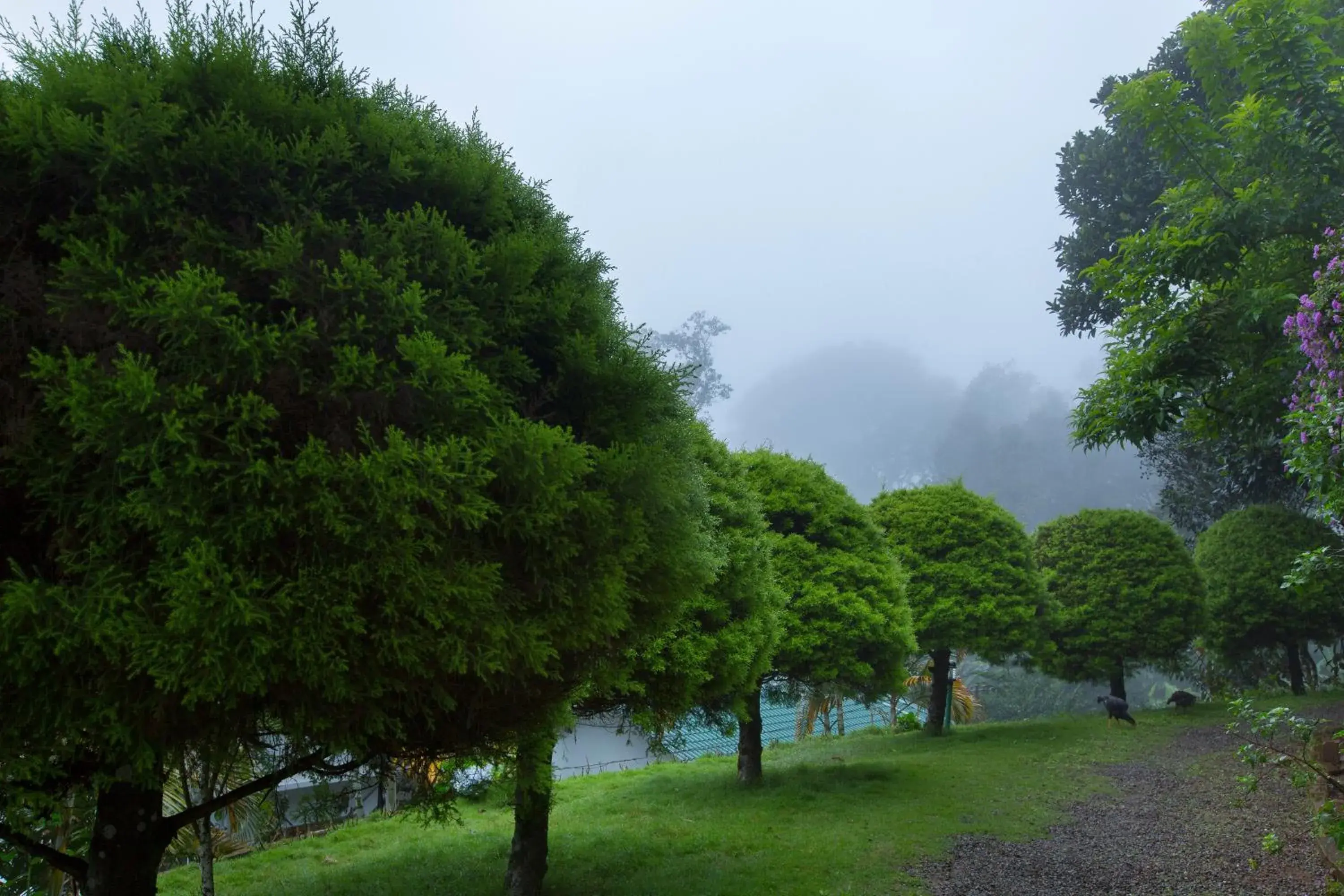 Bracknell Forest Bracknell Forest