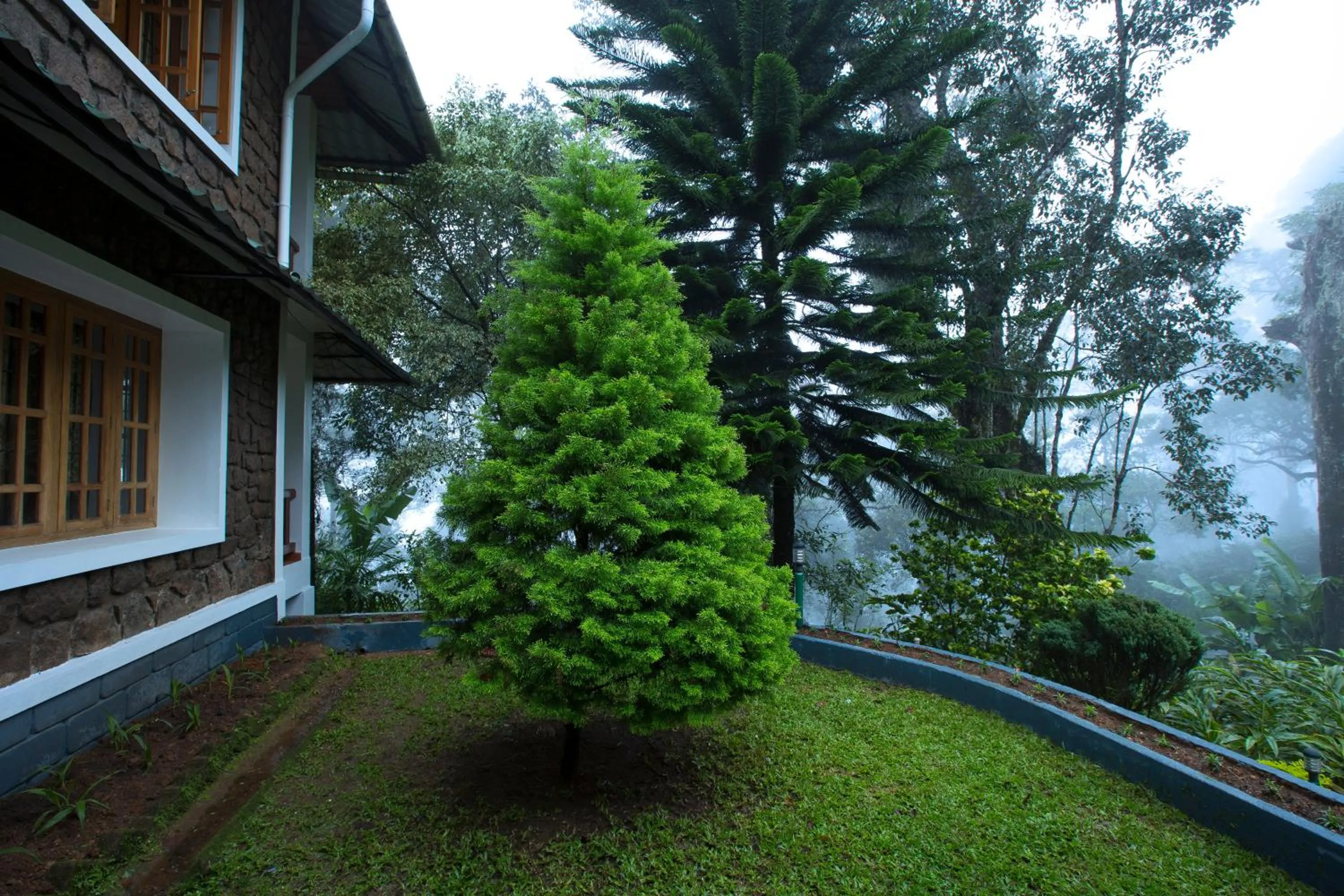 Bracknell Forest Munnar