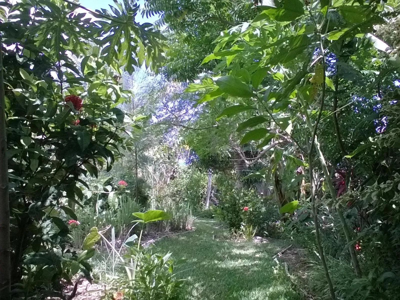 Property building in L'Arbre de Vie