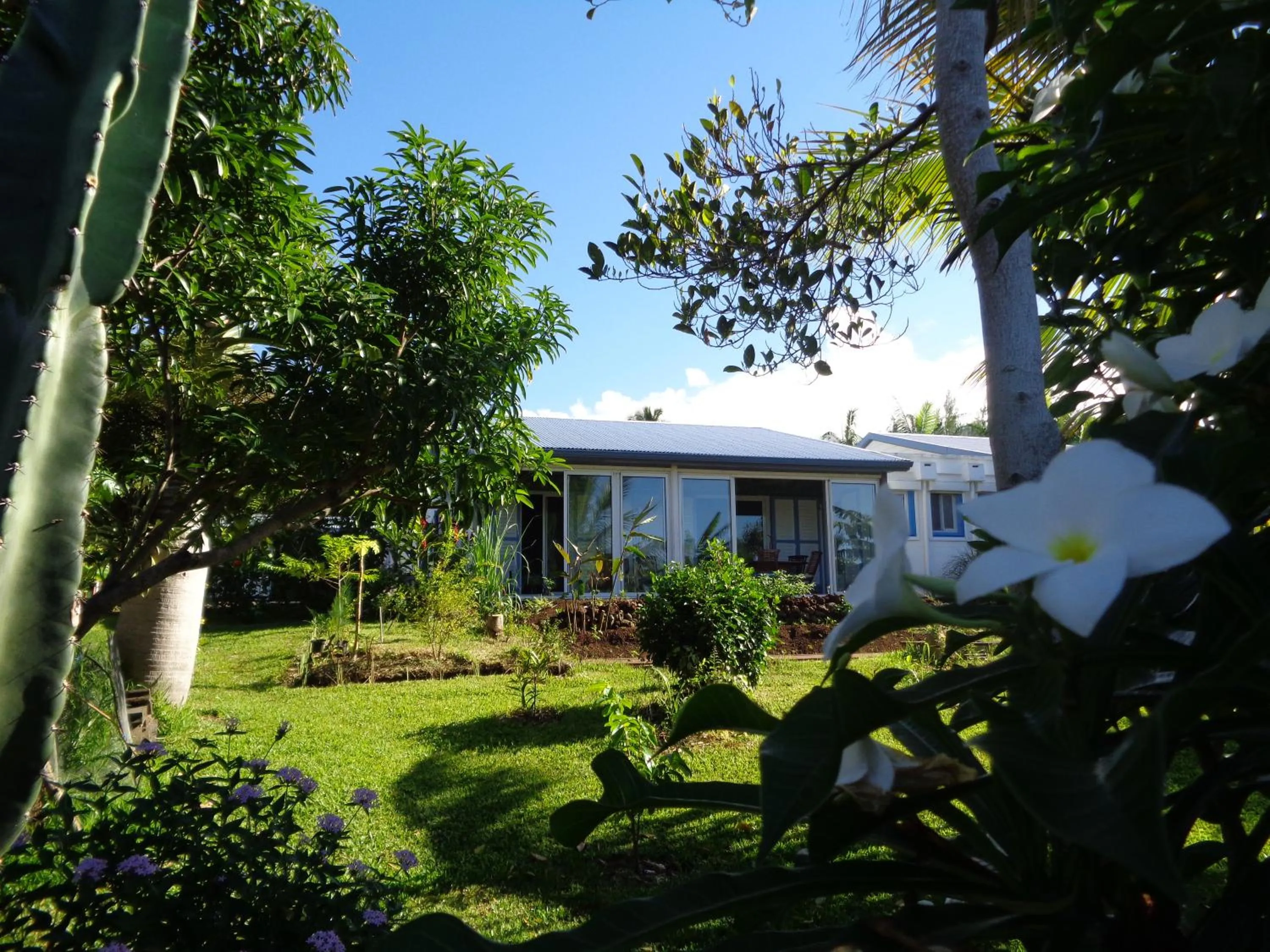 Garden in L'Arbre de Vie