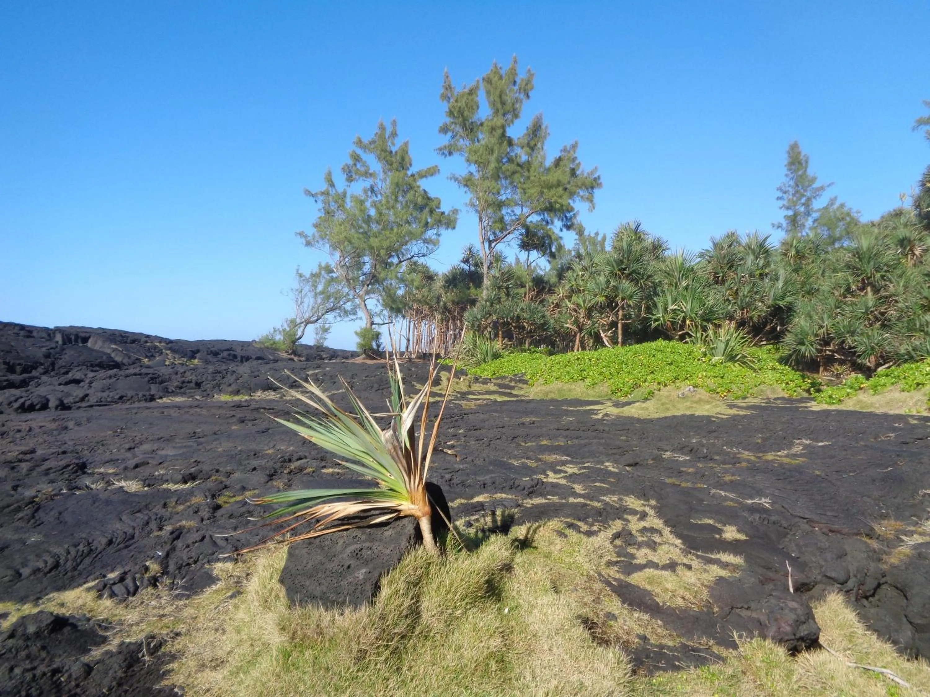 Nearby landmark in L'Arbre de Vie