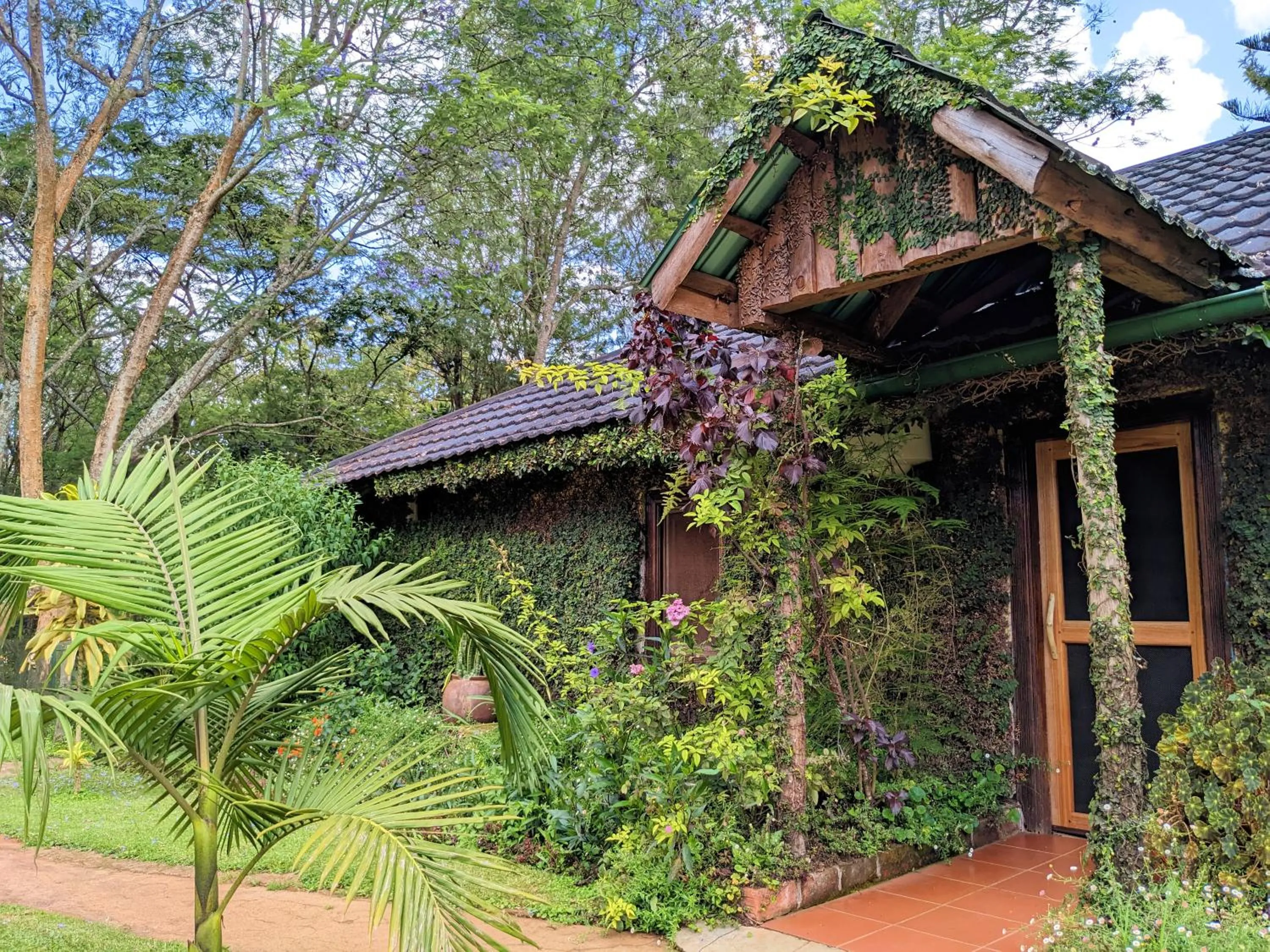 Property building in Lawns Hotel