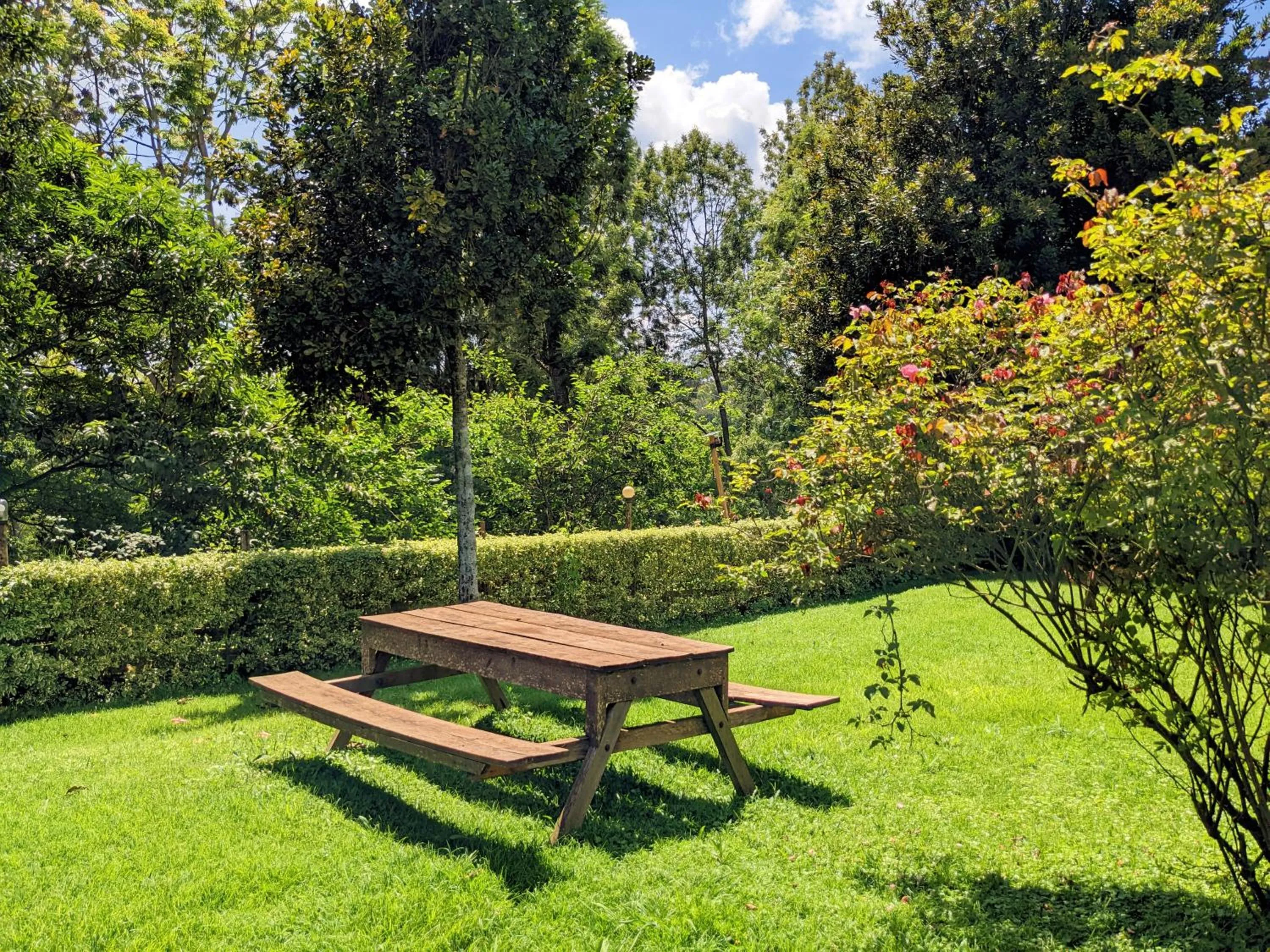 Garden in Lawns Hotel