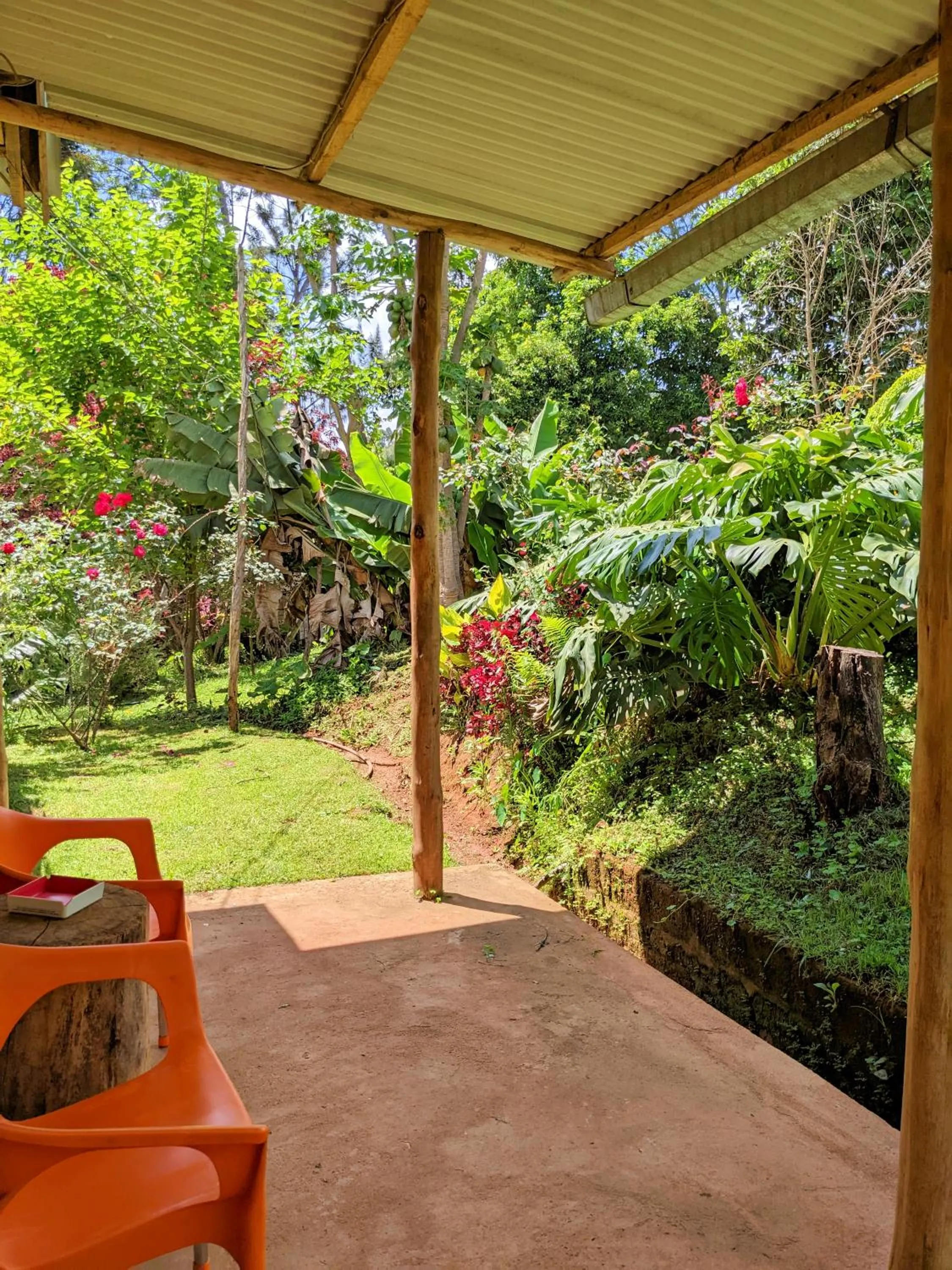 Patio in Lawns Hotel