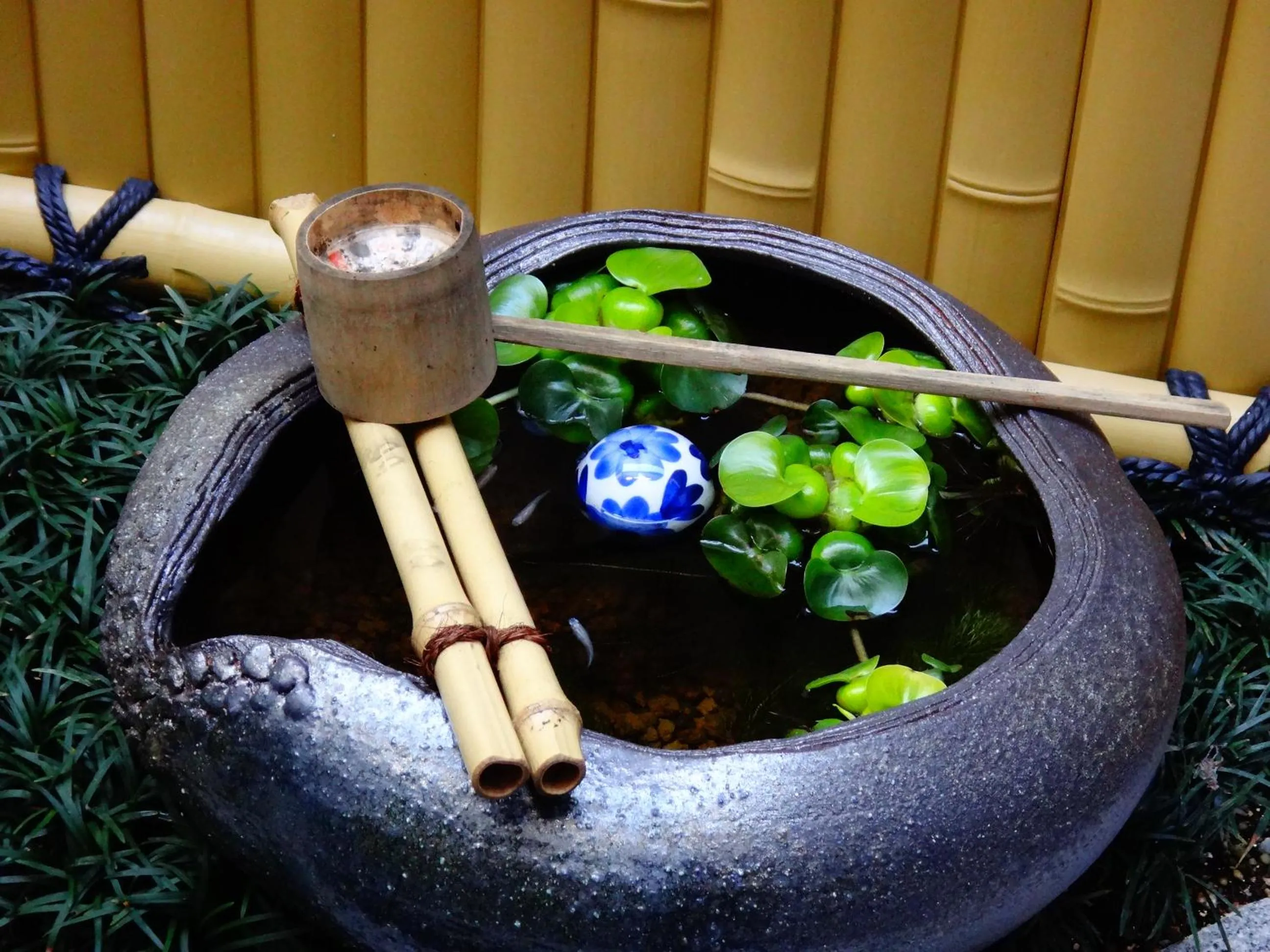 Animals in 京と家 鴨川五条 -Kyotoya Kamogawagojo-