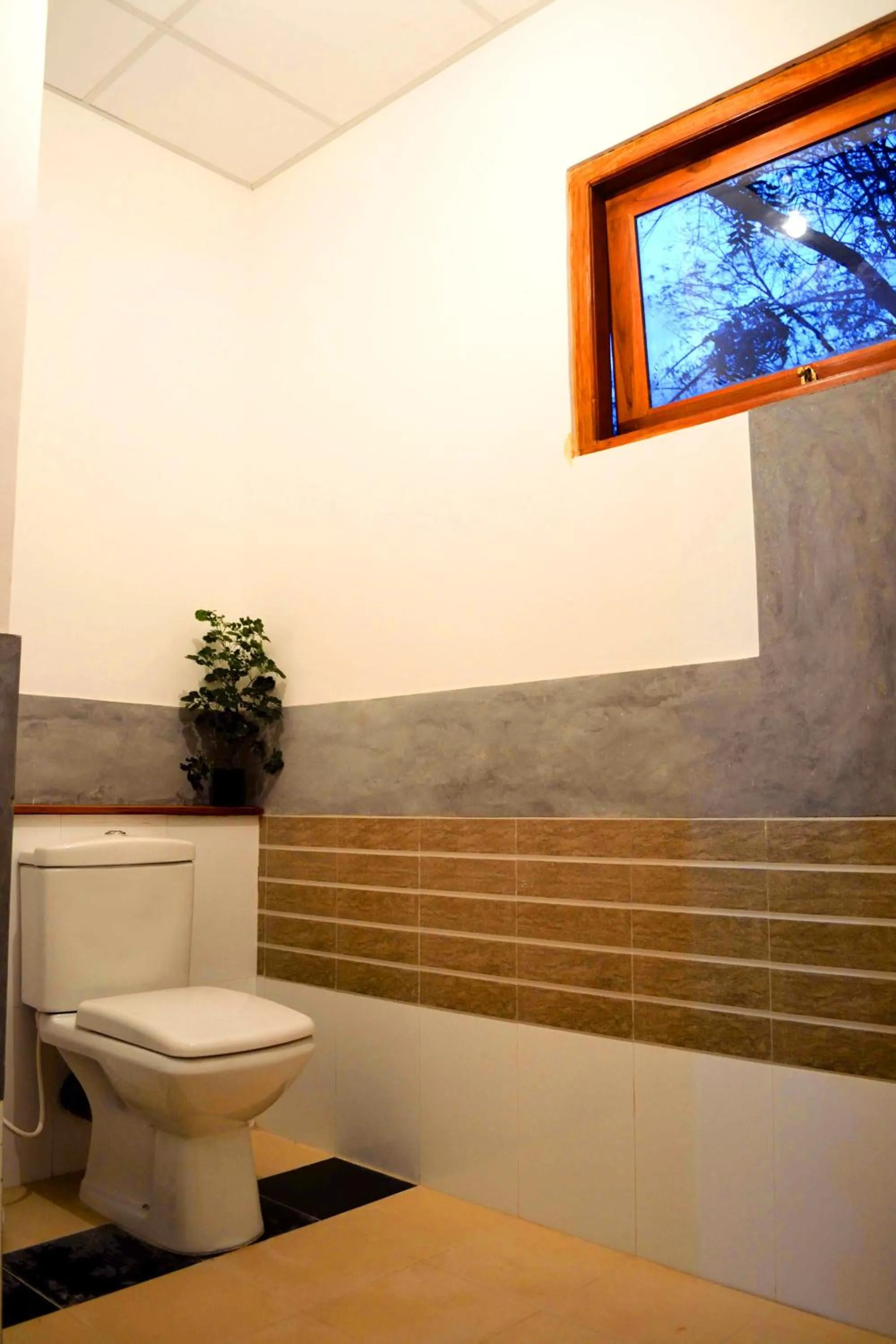 Toilet in Pelican View Cottages