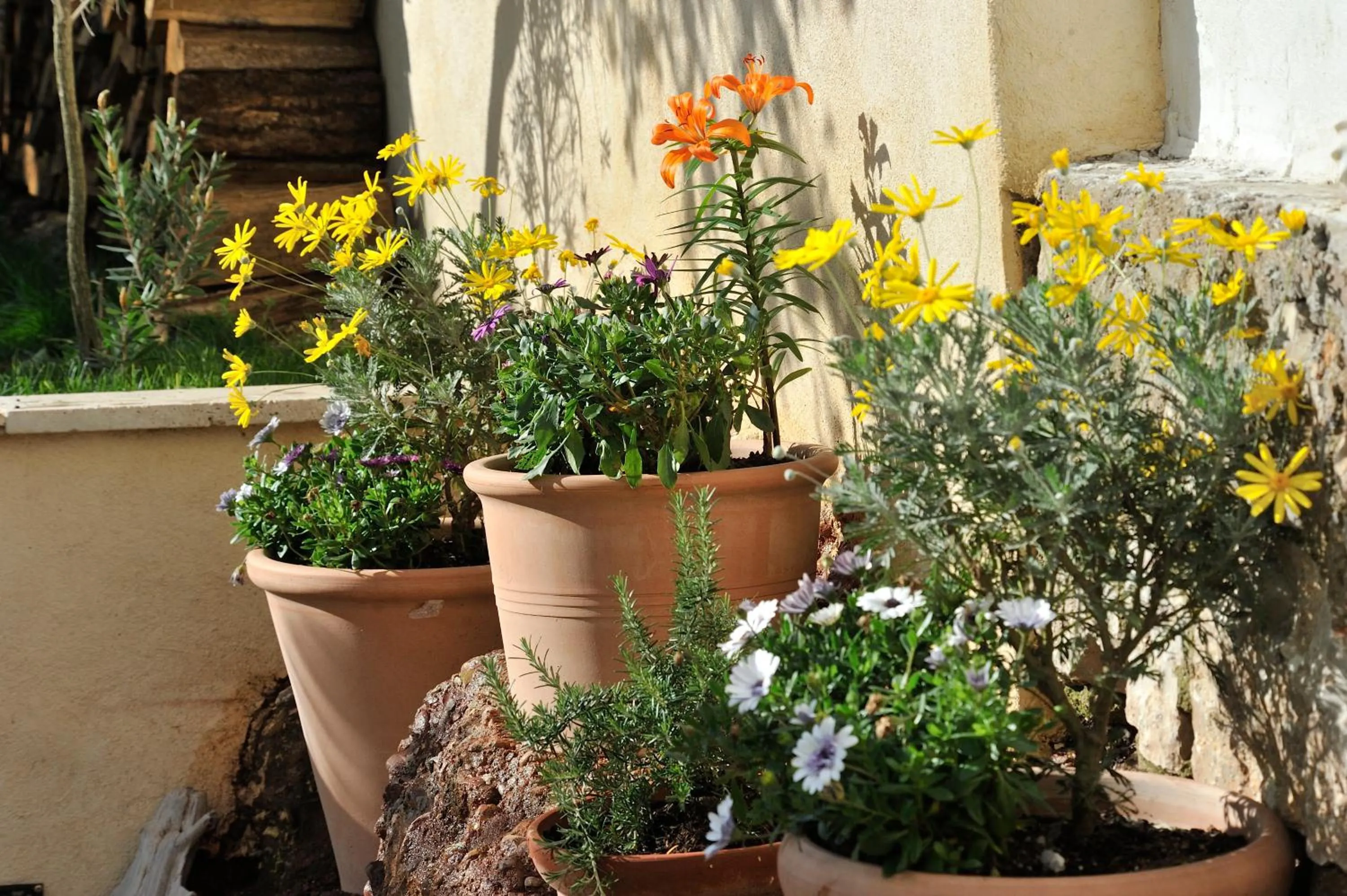 Day in B&B Villa Du Roc Fleuri