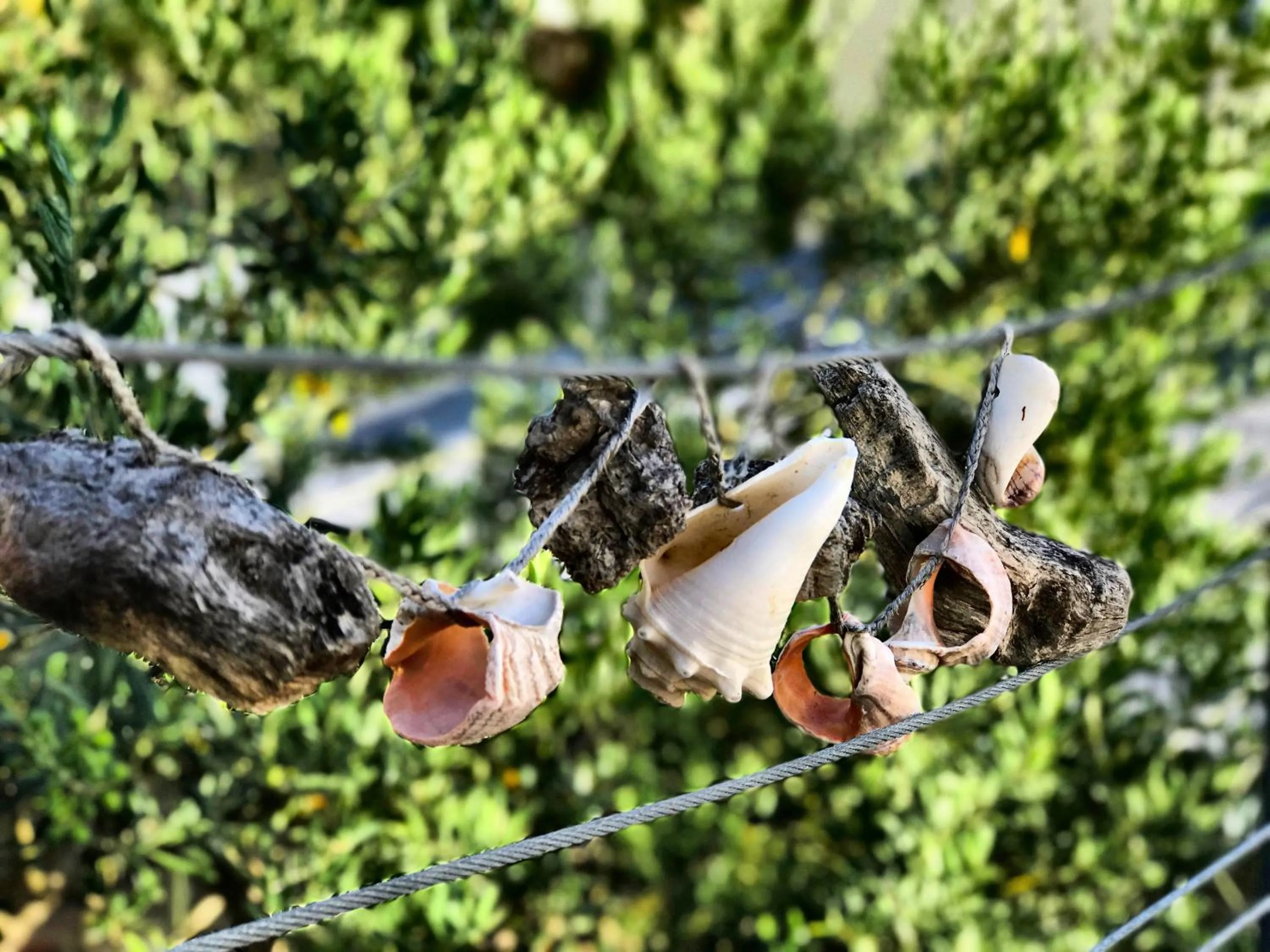 Garden in B&B Villa Du Roc Fleuri