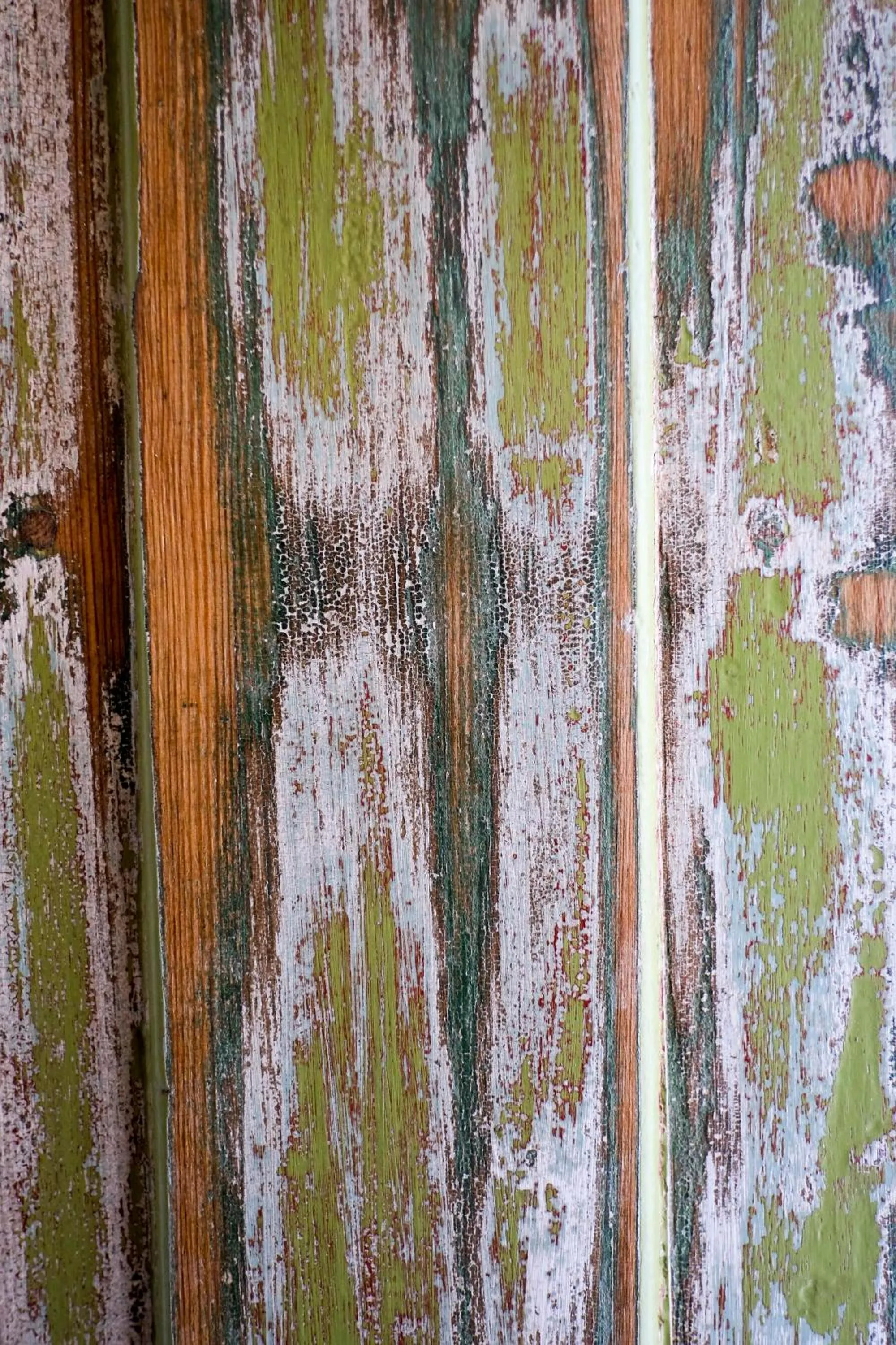 Photo of the whole room in Pigal