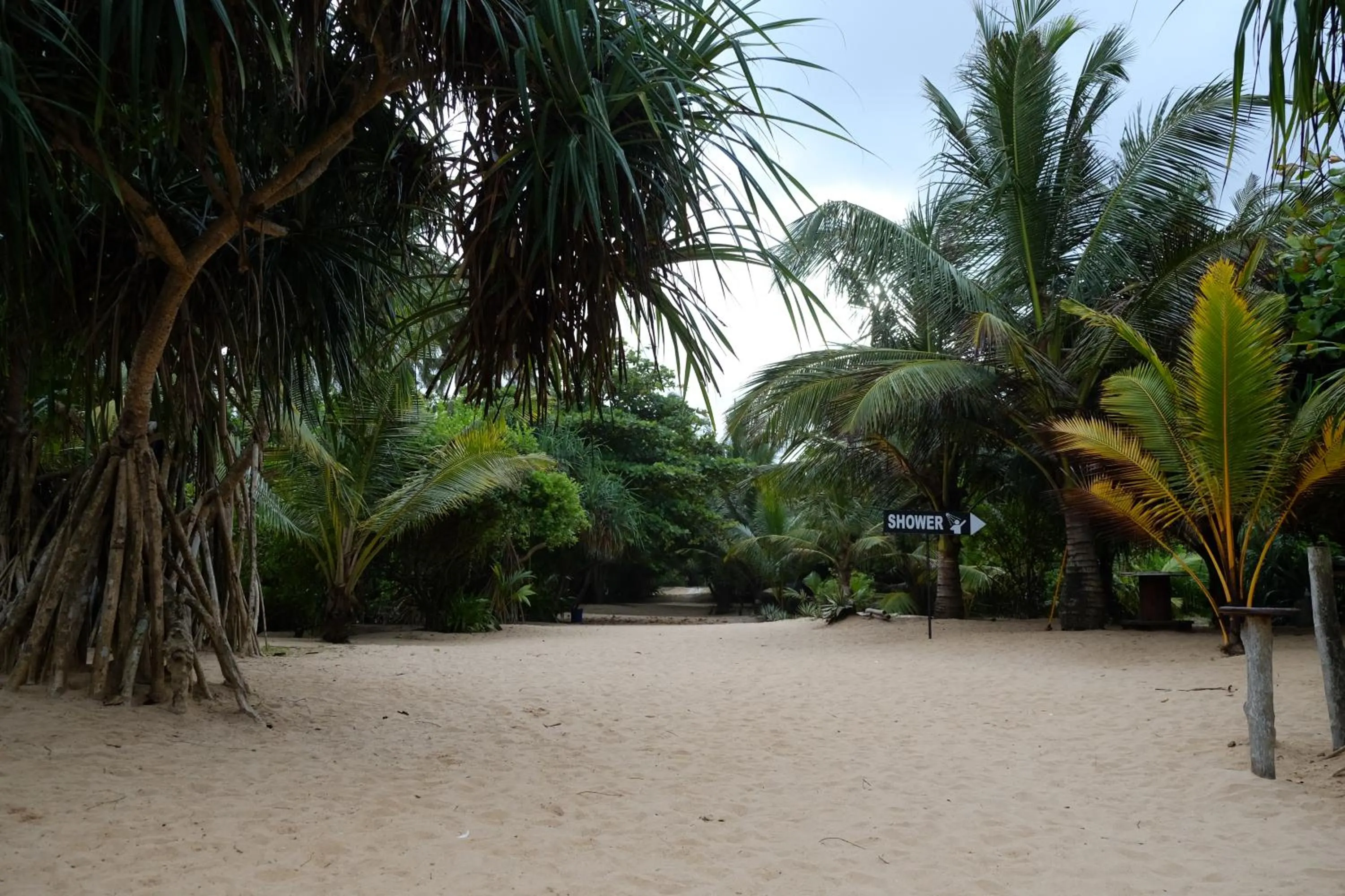 Garden in Amal Beach Hotel