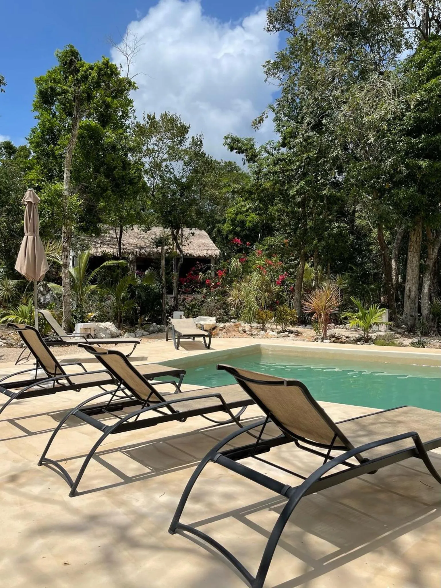 Swimming pool in Maya Eco Village