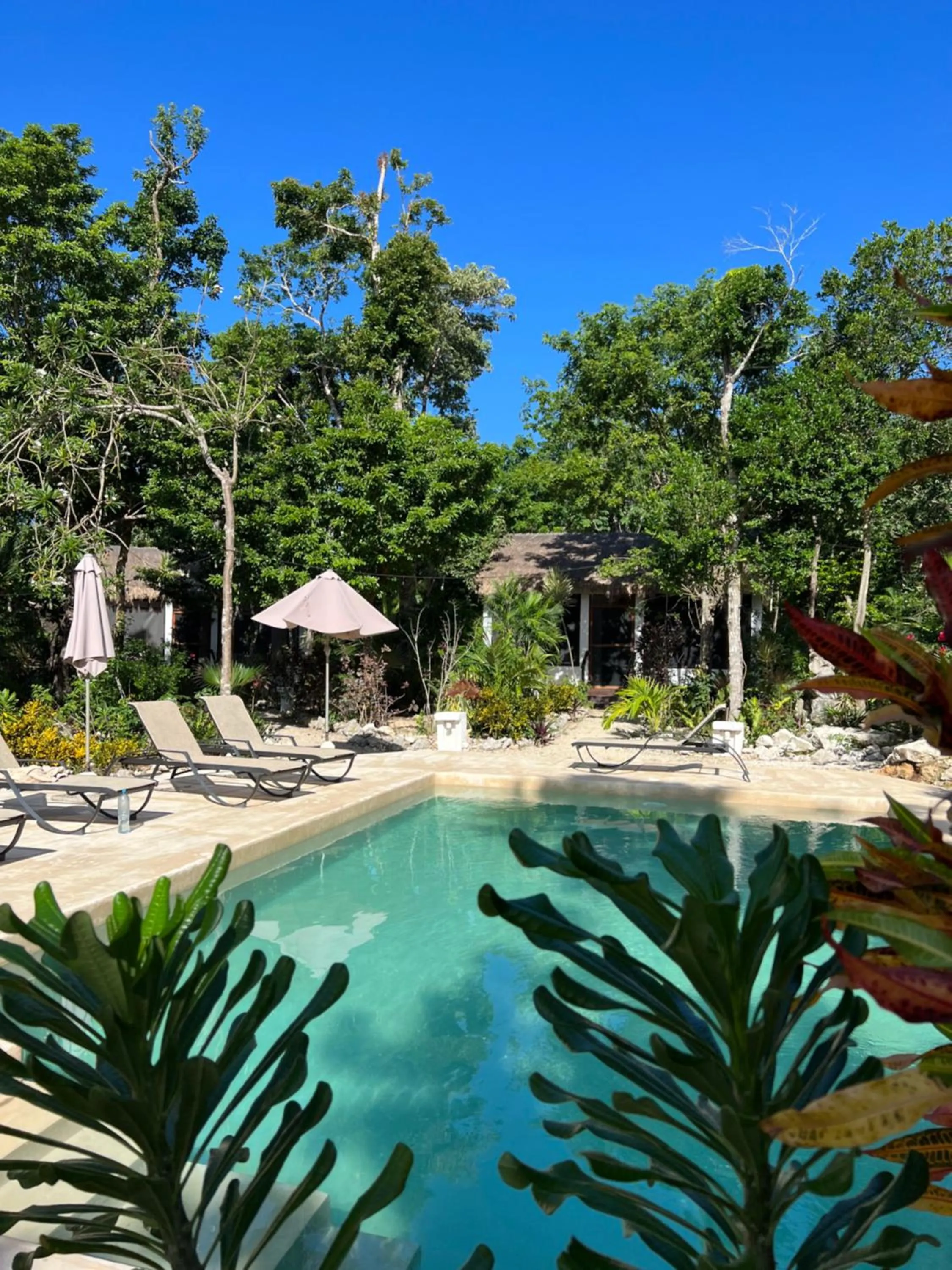 Pool view in Maya Eco Village