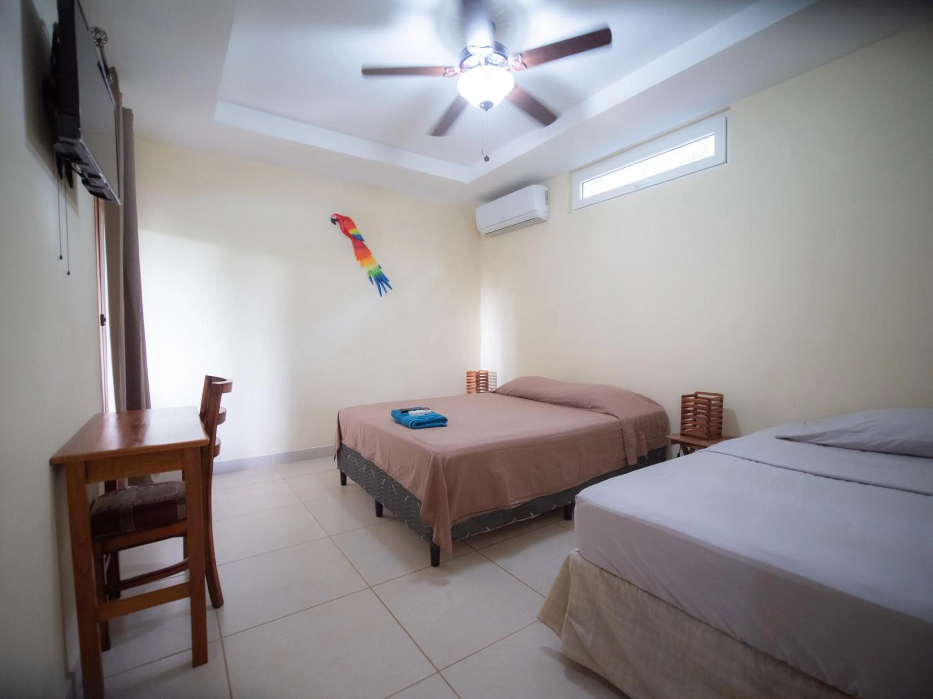 Triple Room with Pool View in Casa Inti Guesthouse & Lodge