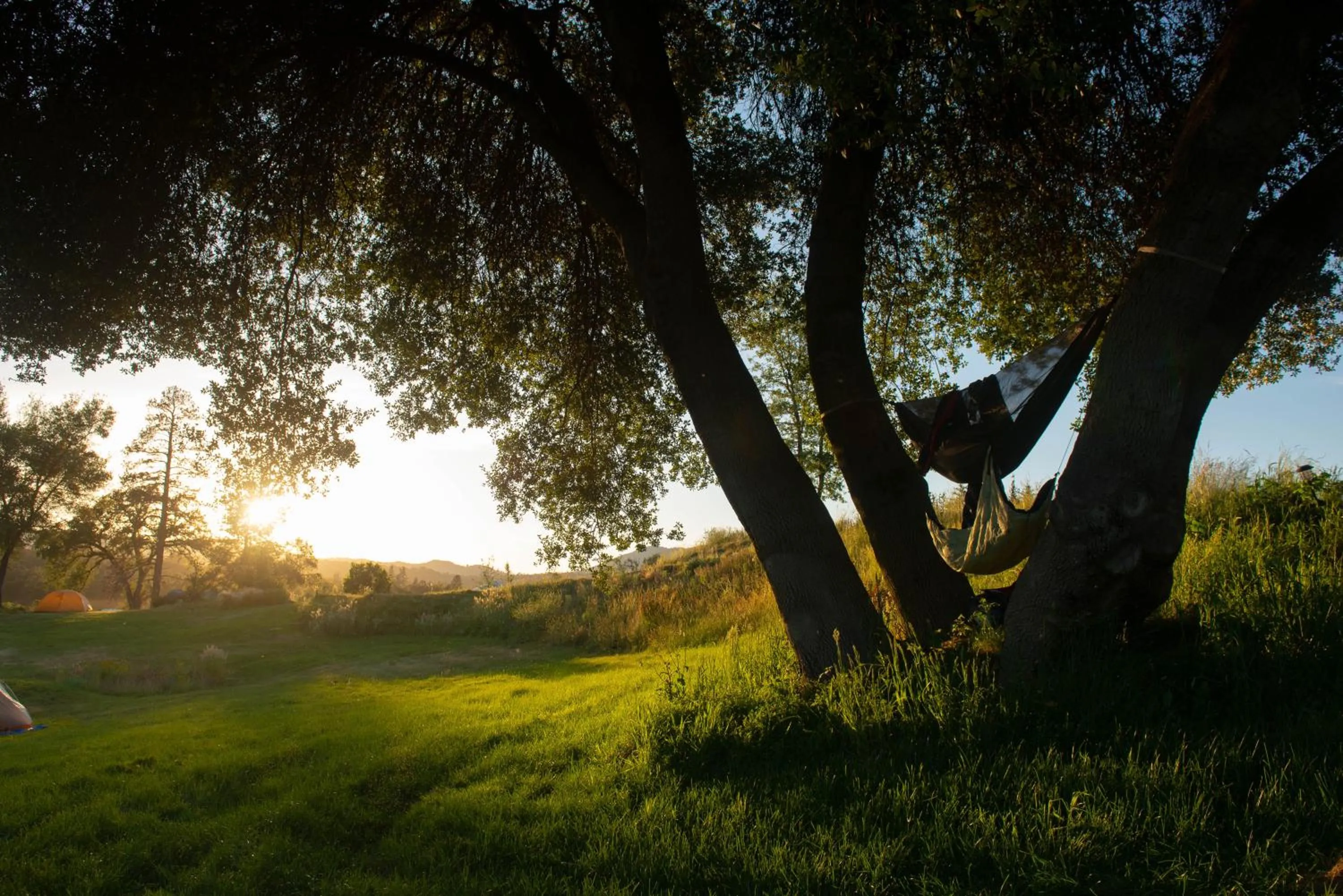 Natural landscape in Sierra Meadows