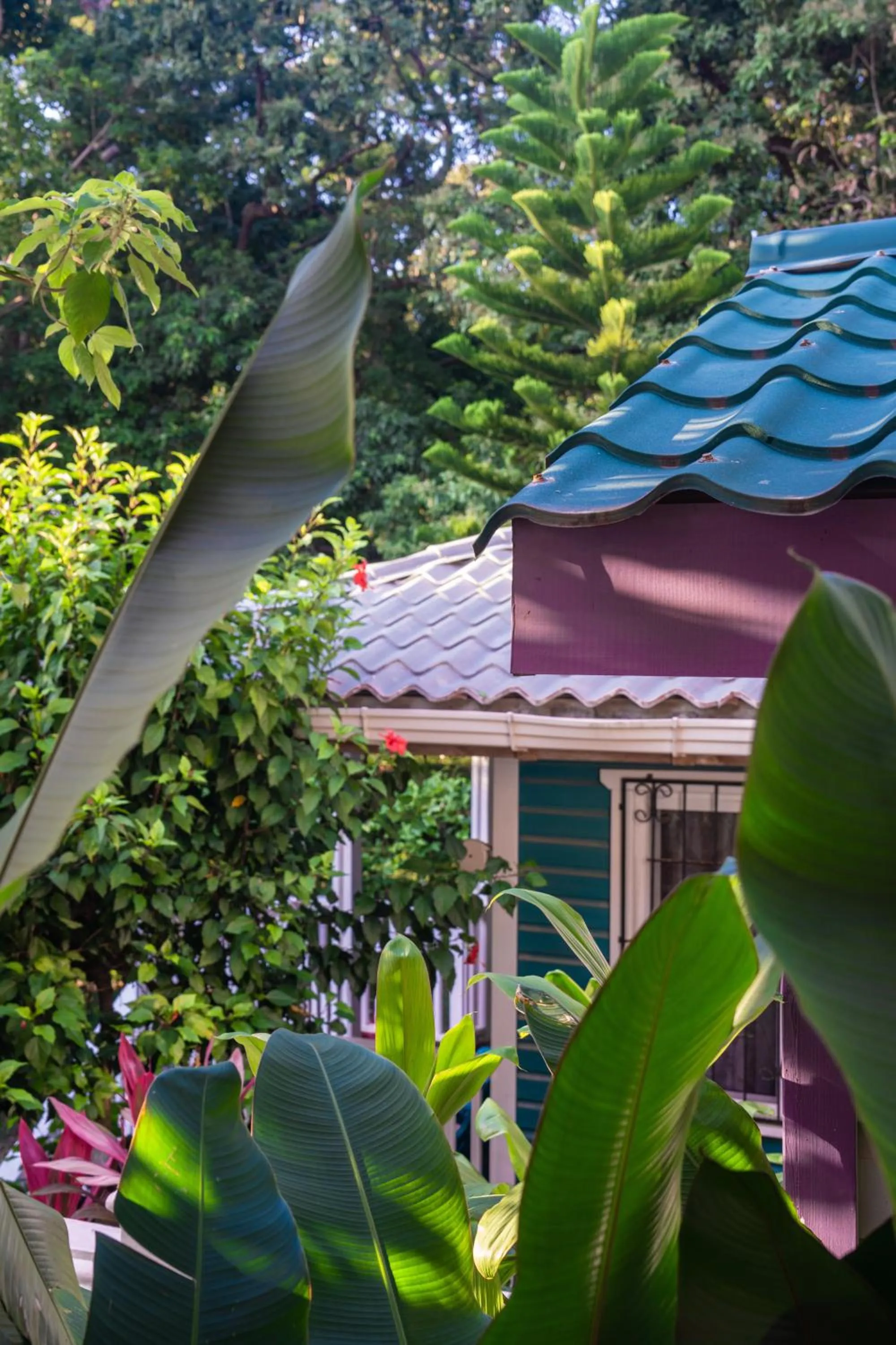 Property building in Seaside Inn Roatan