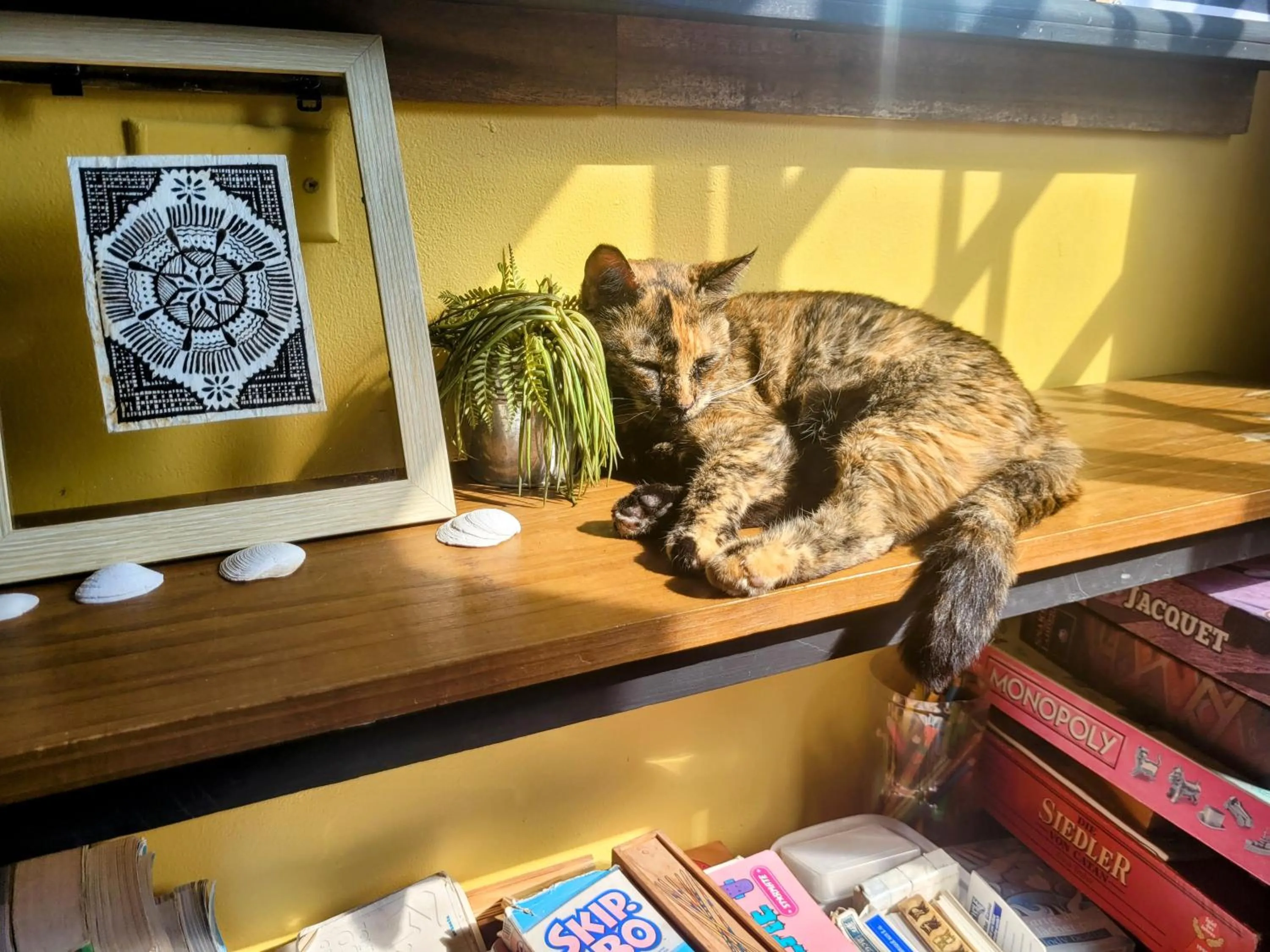 Barrbra BnB Over The Sea