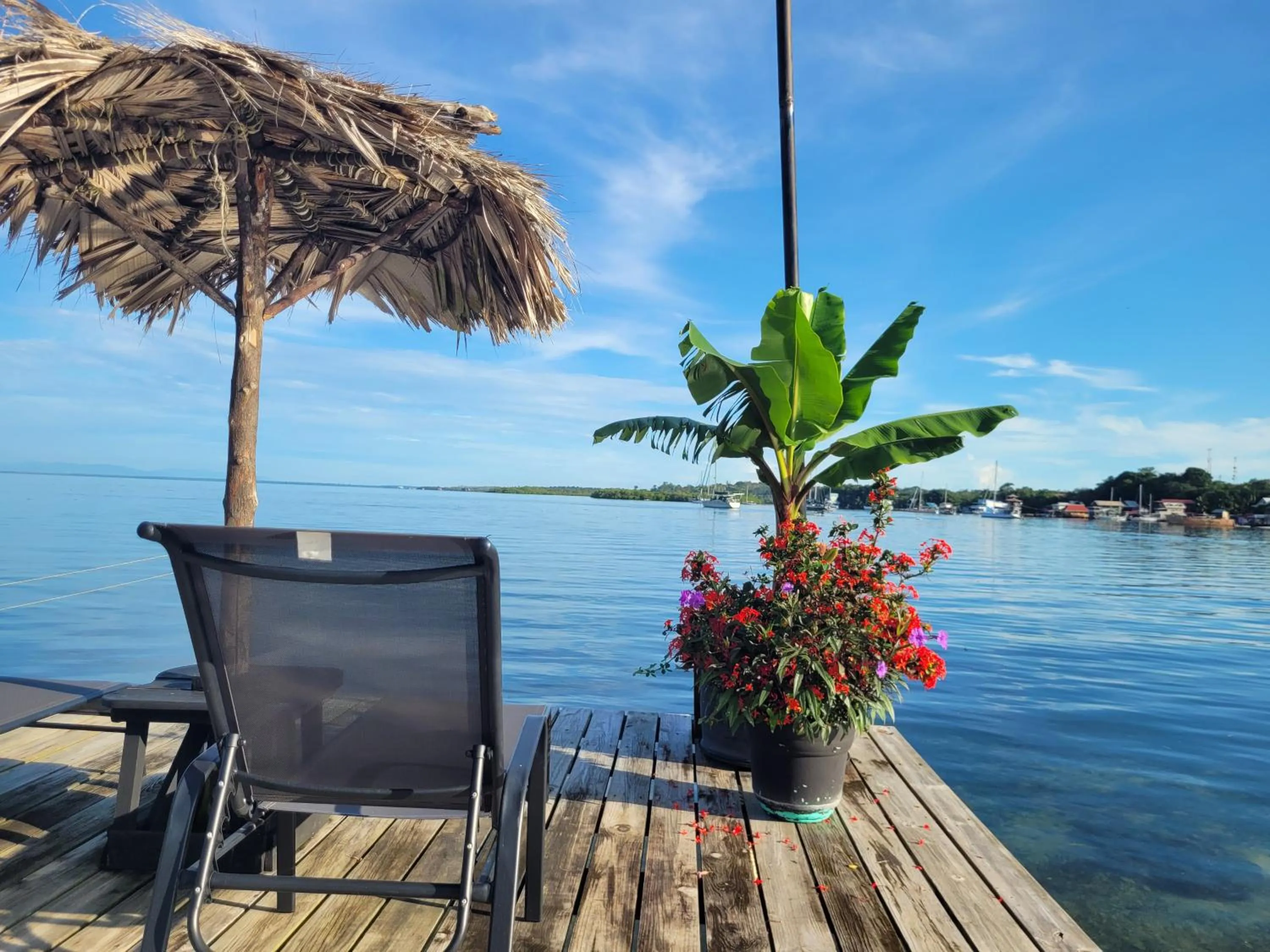 Barrbra BnB Over The Sea