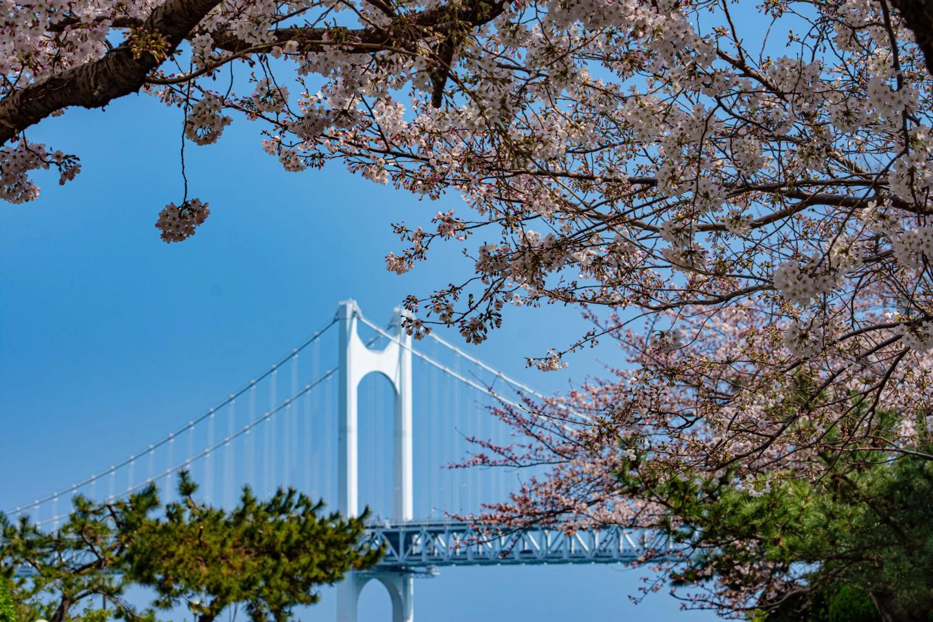 Property building in Kent Hotel Gwangalli by Kensington