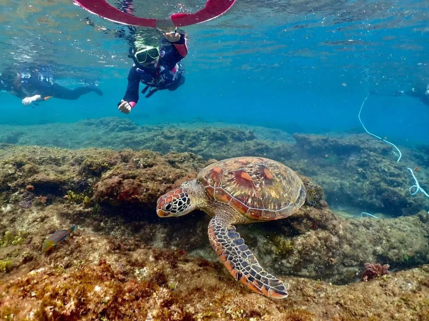 Oceanic Pearl Resort