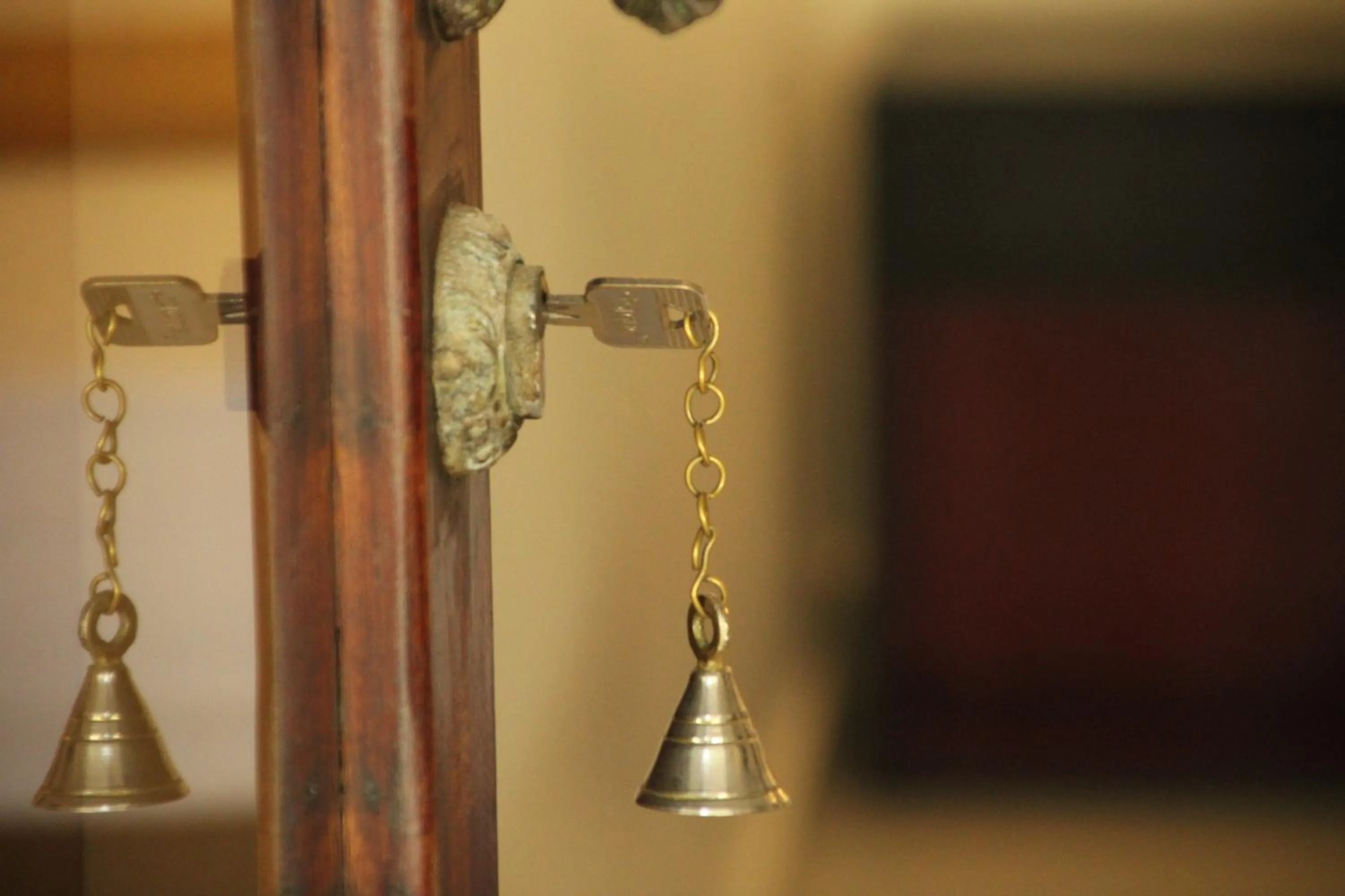 Decorative detail in Petit Elephant