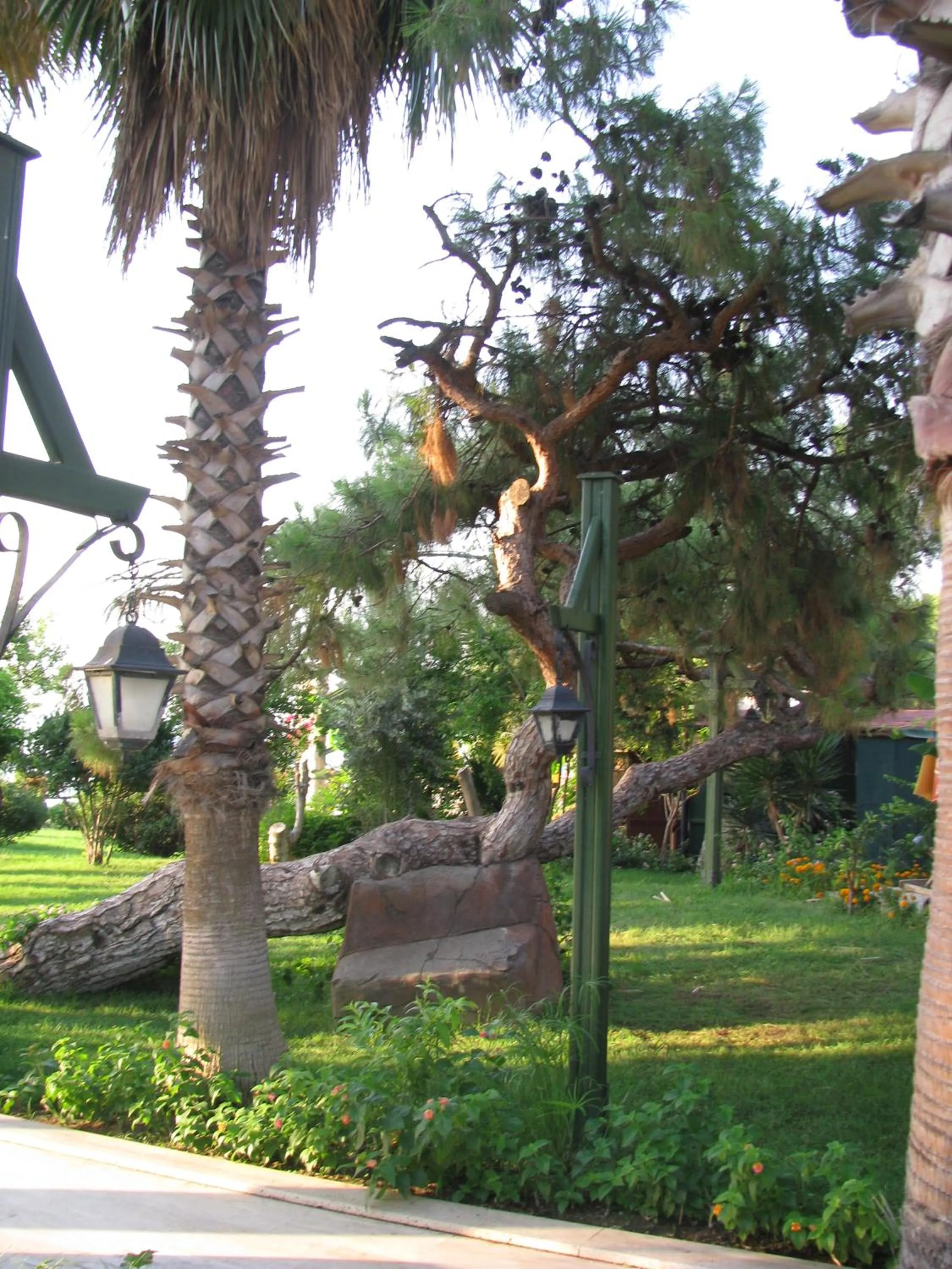 Day in Hotel Sumela Garden - All Inclusive