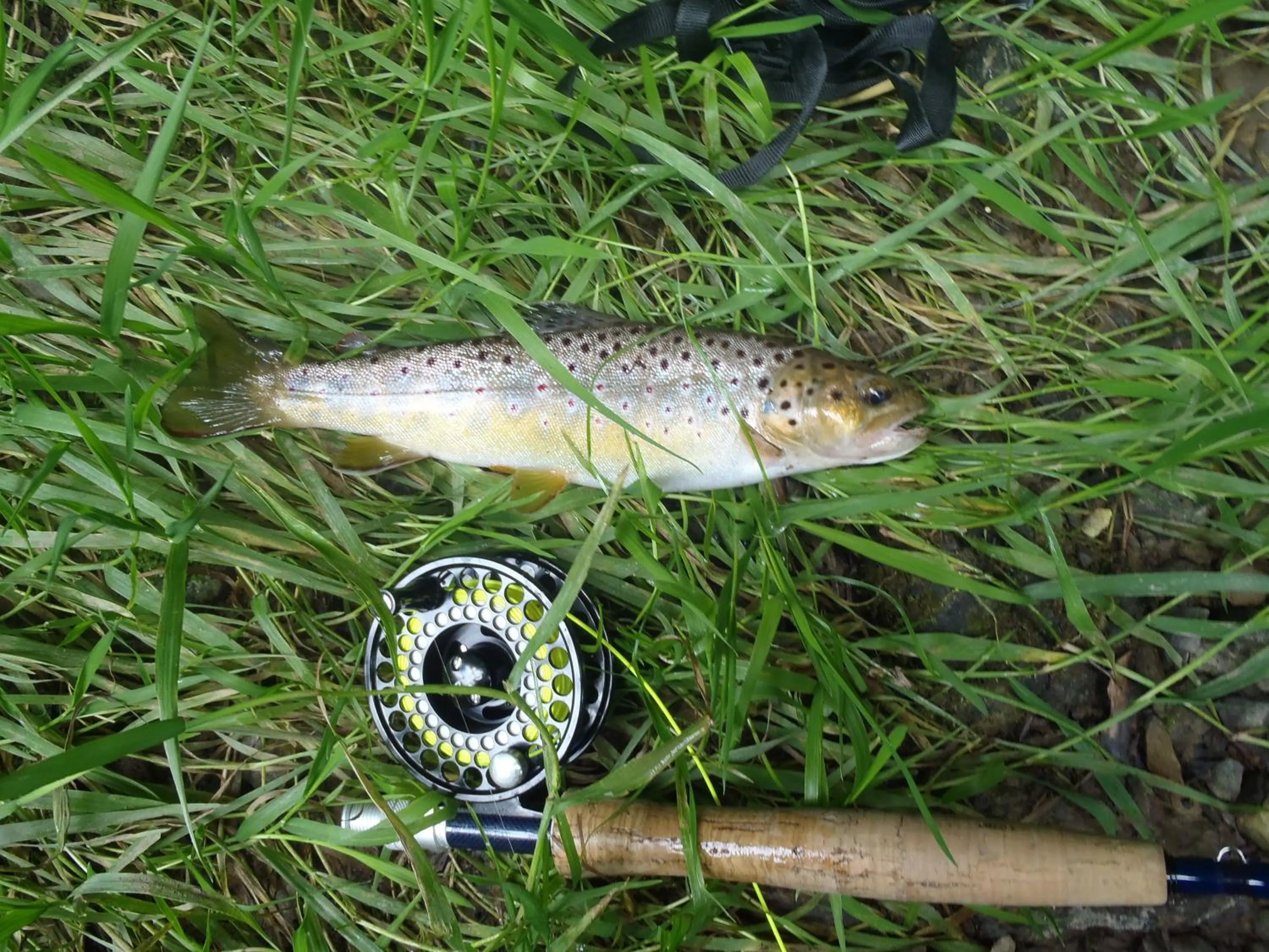 Fishing in B&B Chez tante Alice