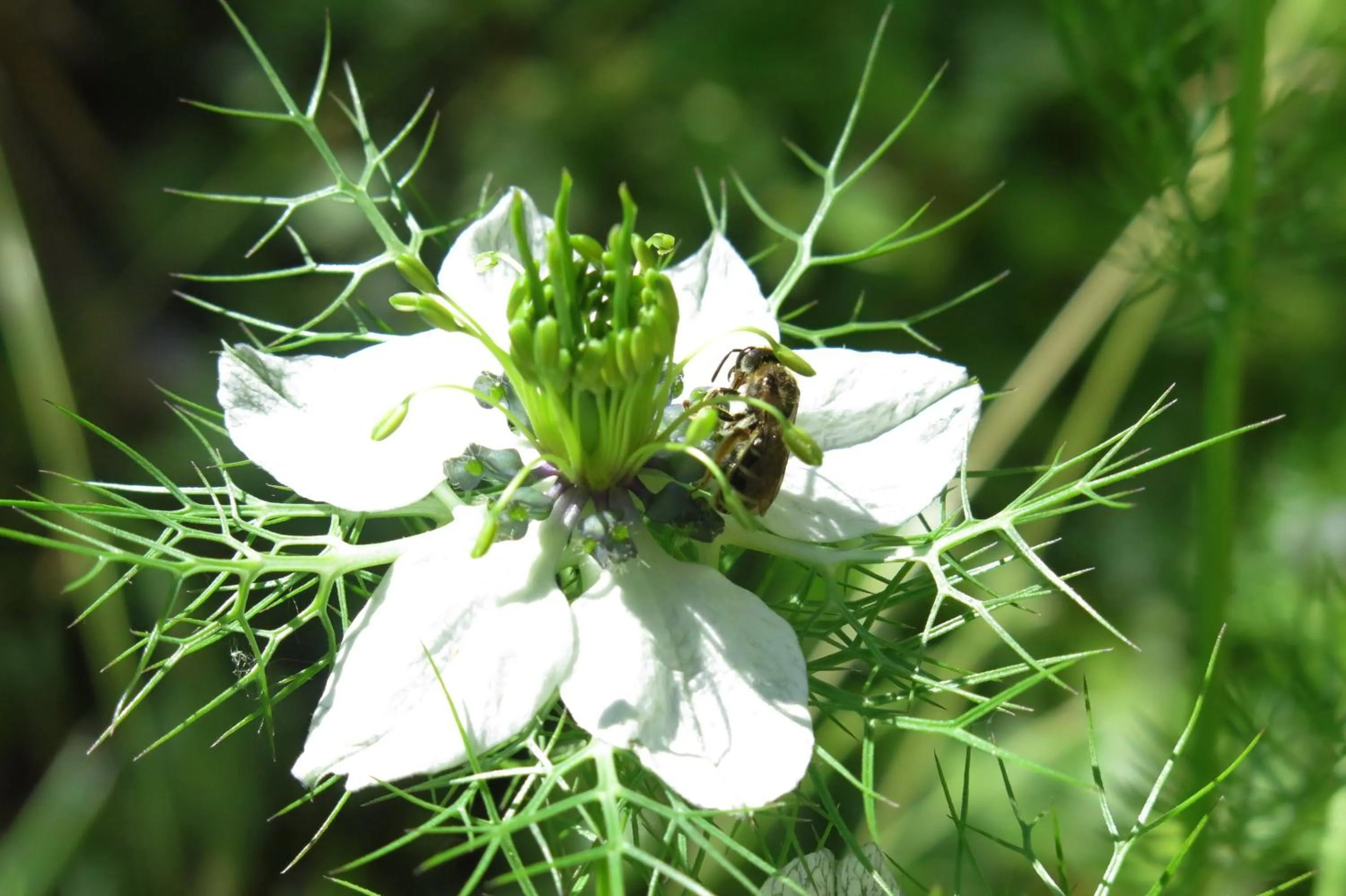 Spring in Art Gallery Rooms