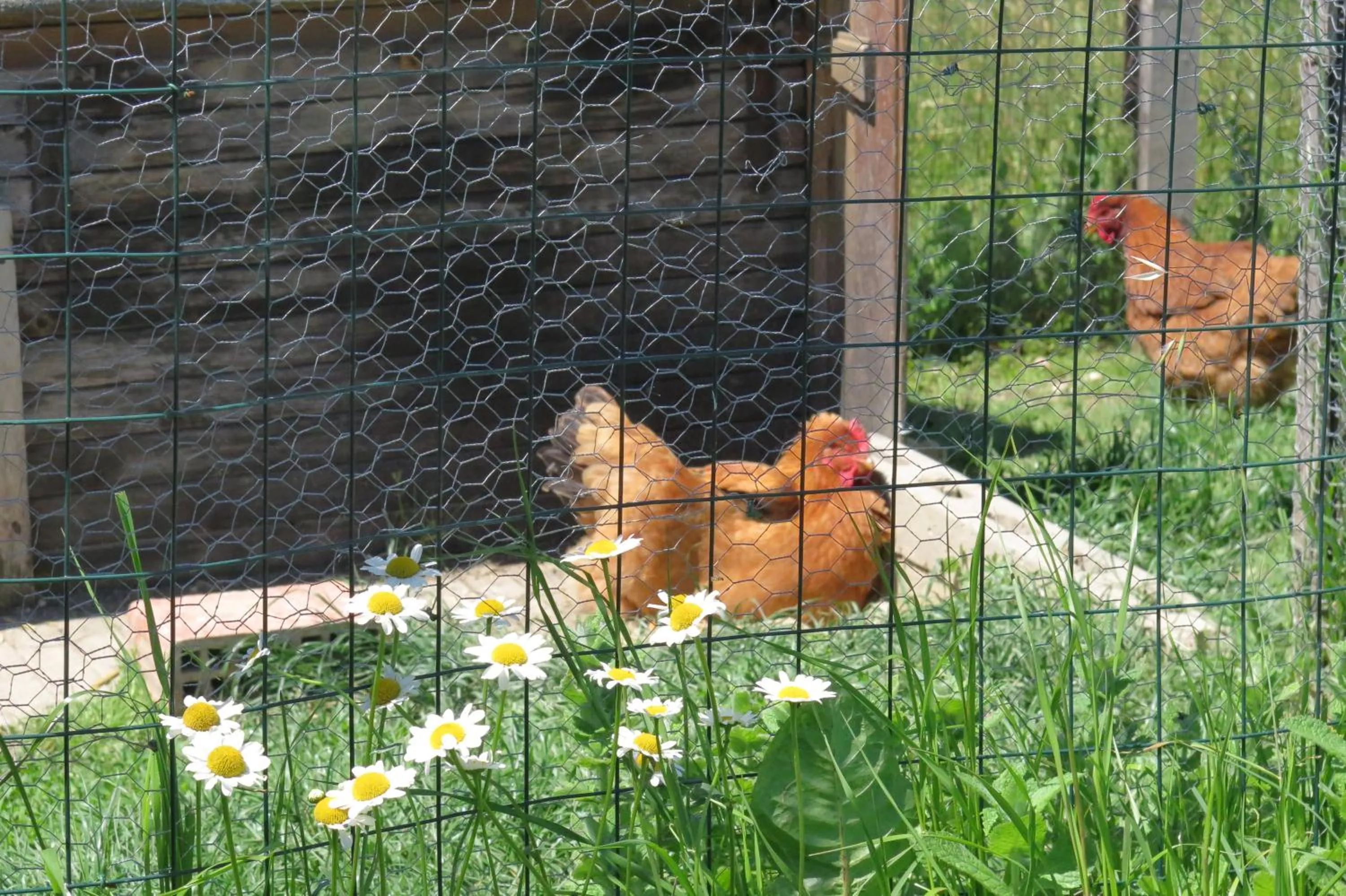 Natural landscape in Art Gallery Rooms