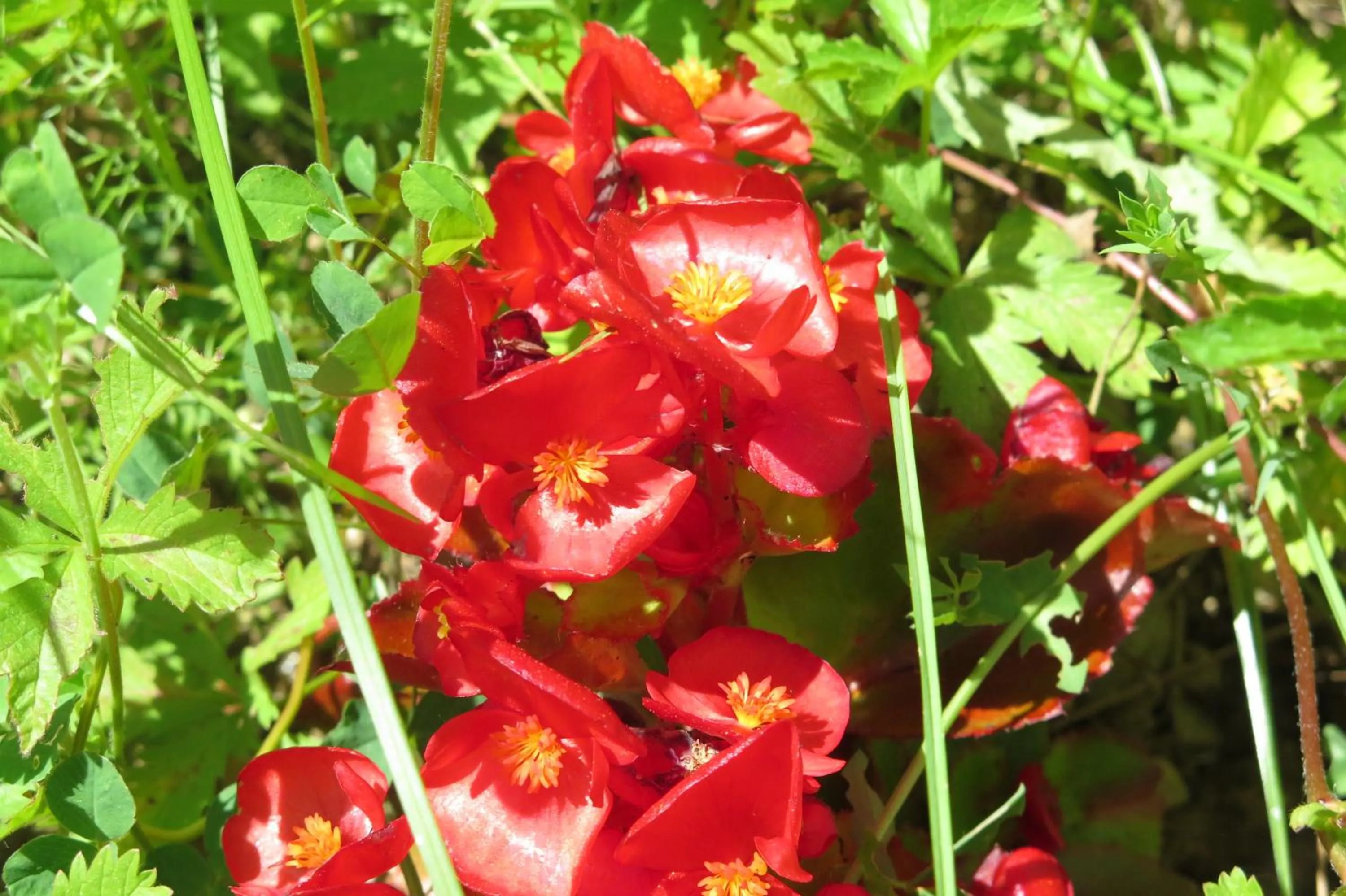 Spring in Art Gallery Rooms