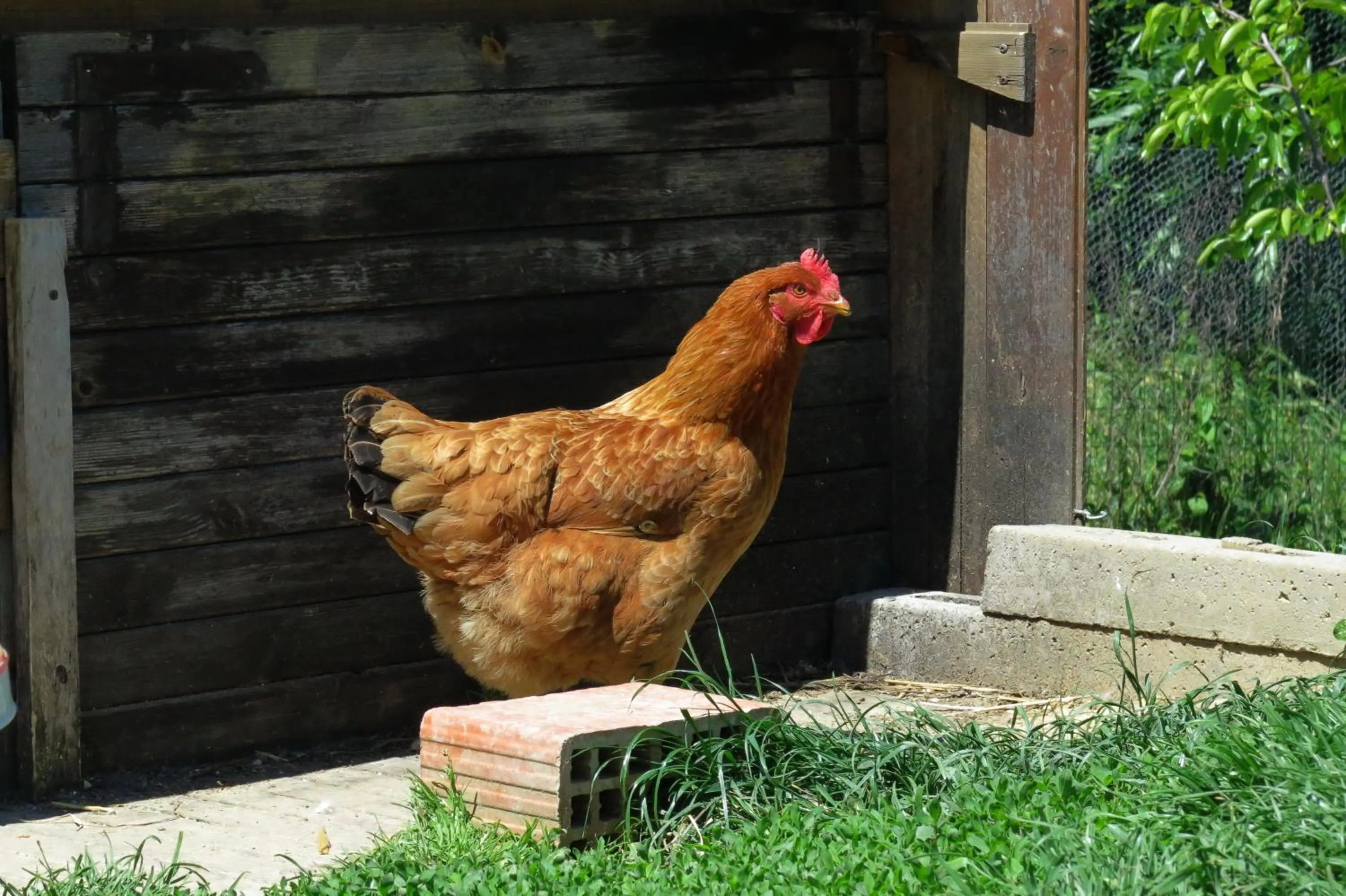 Natural landscape in Art Gallery Rooms