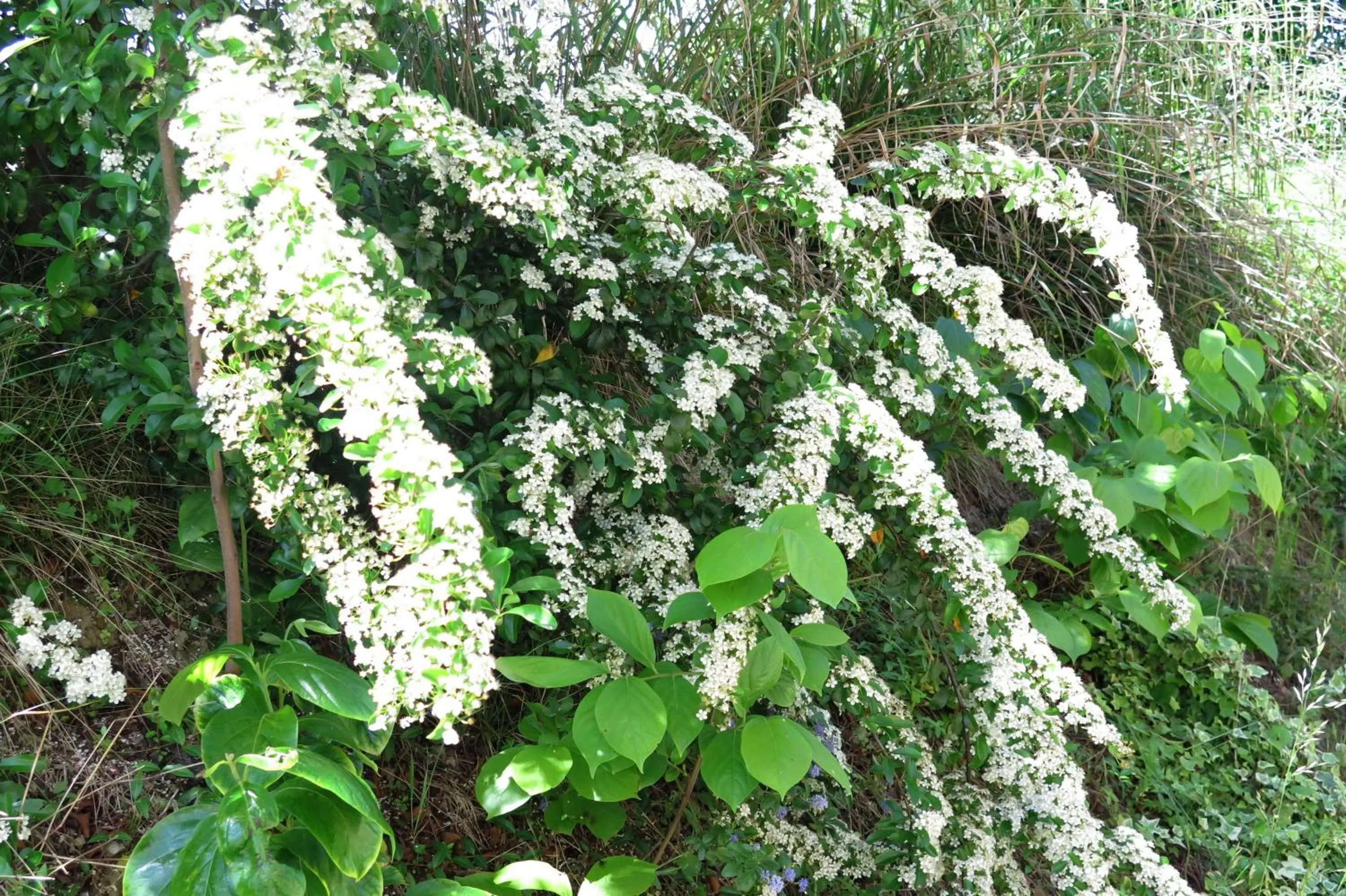 Spring in Art Gallery Rooms