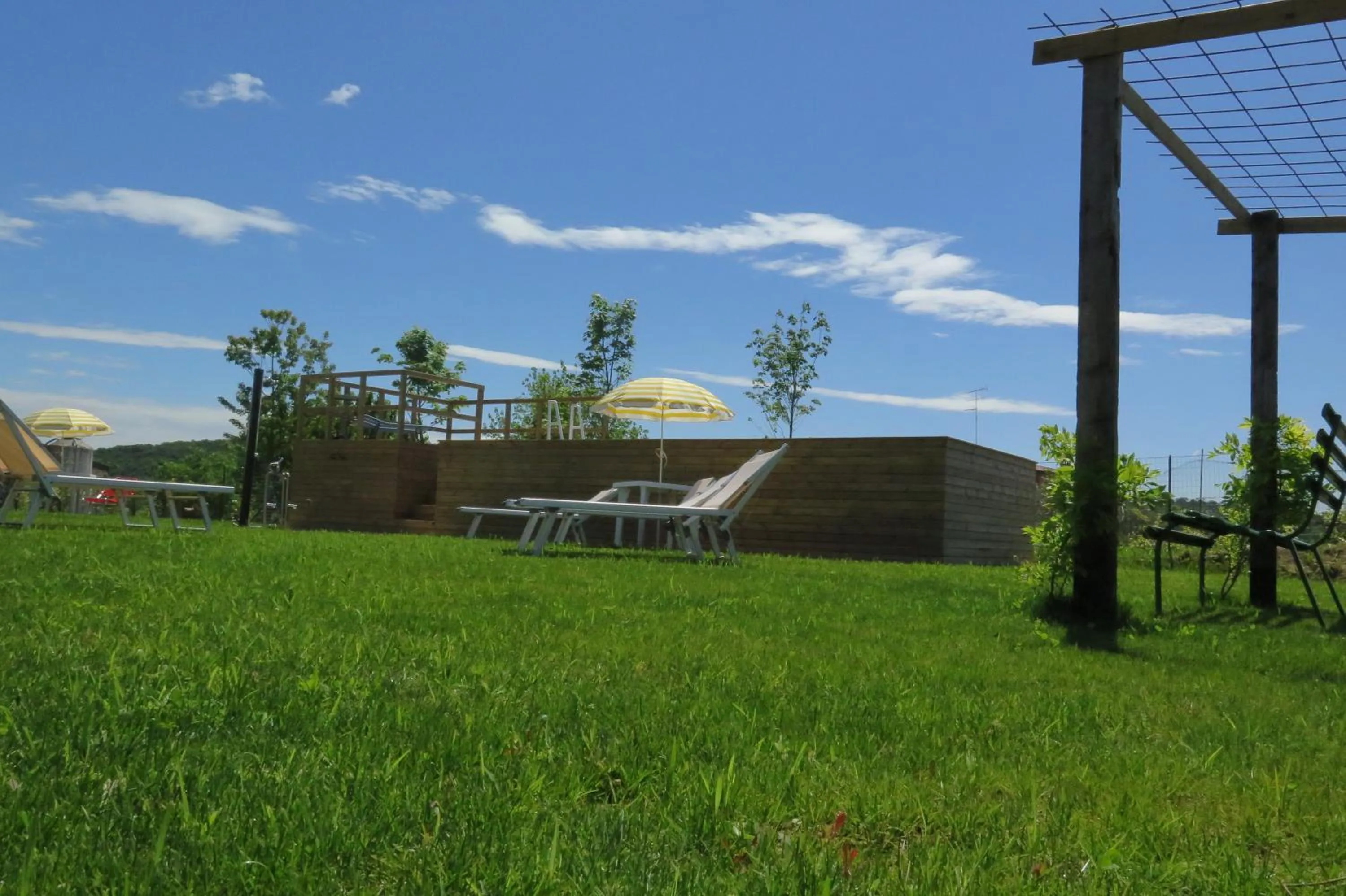 Garden in Art Gallery Rooms