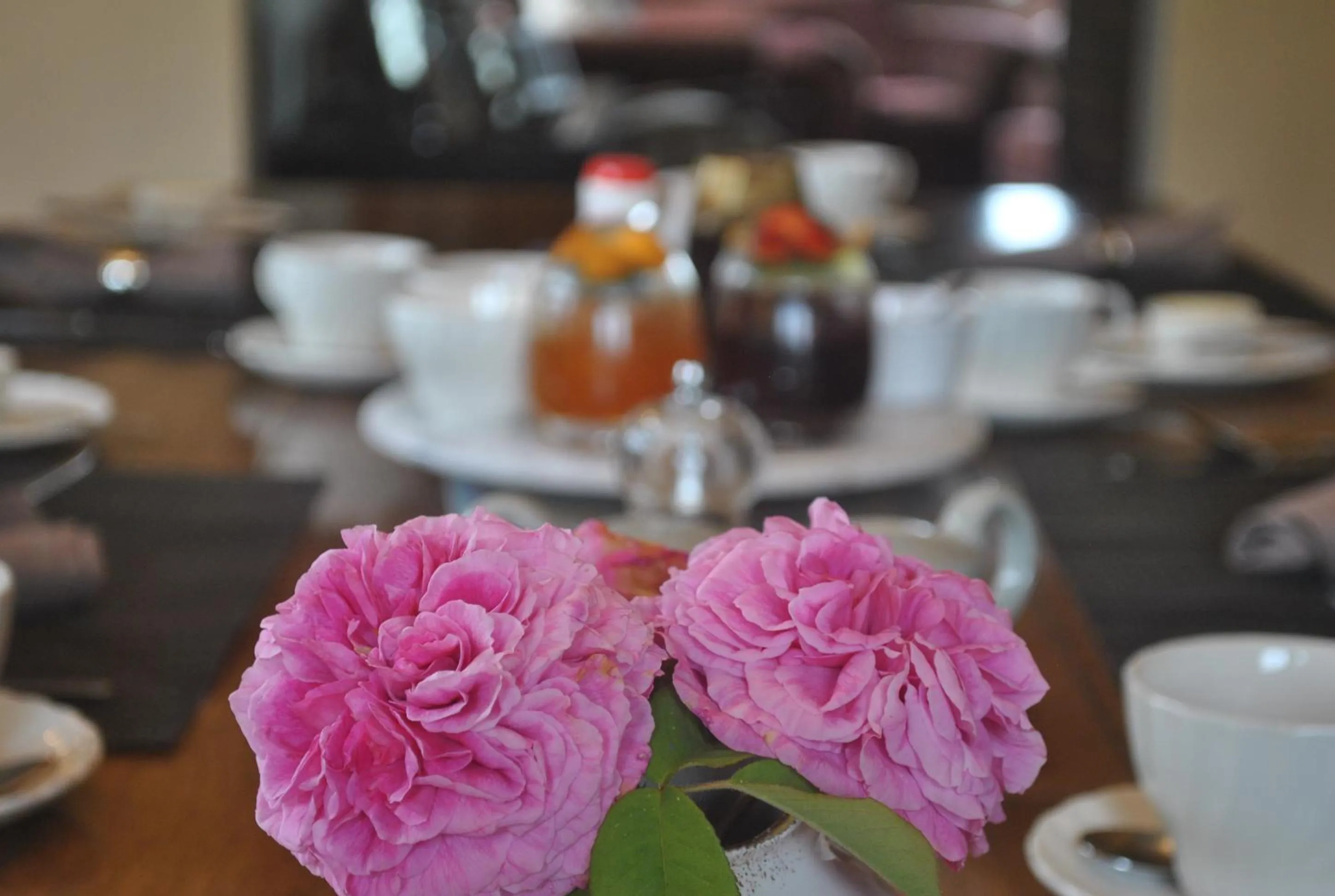 Breakfast in Elms Farm