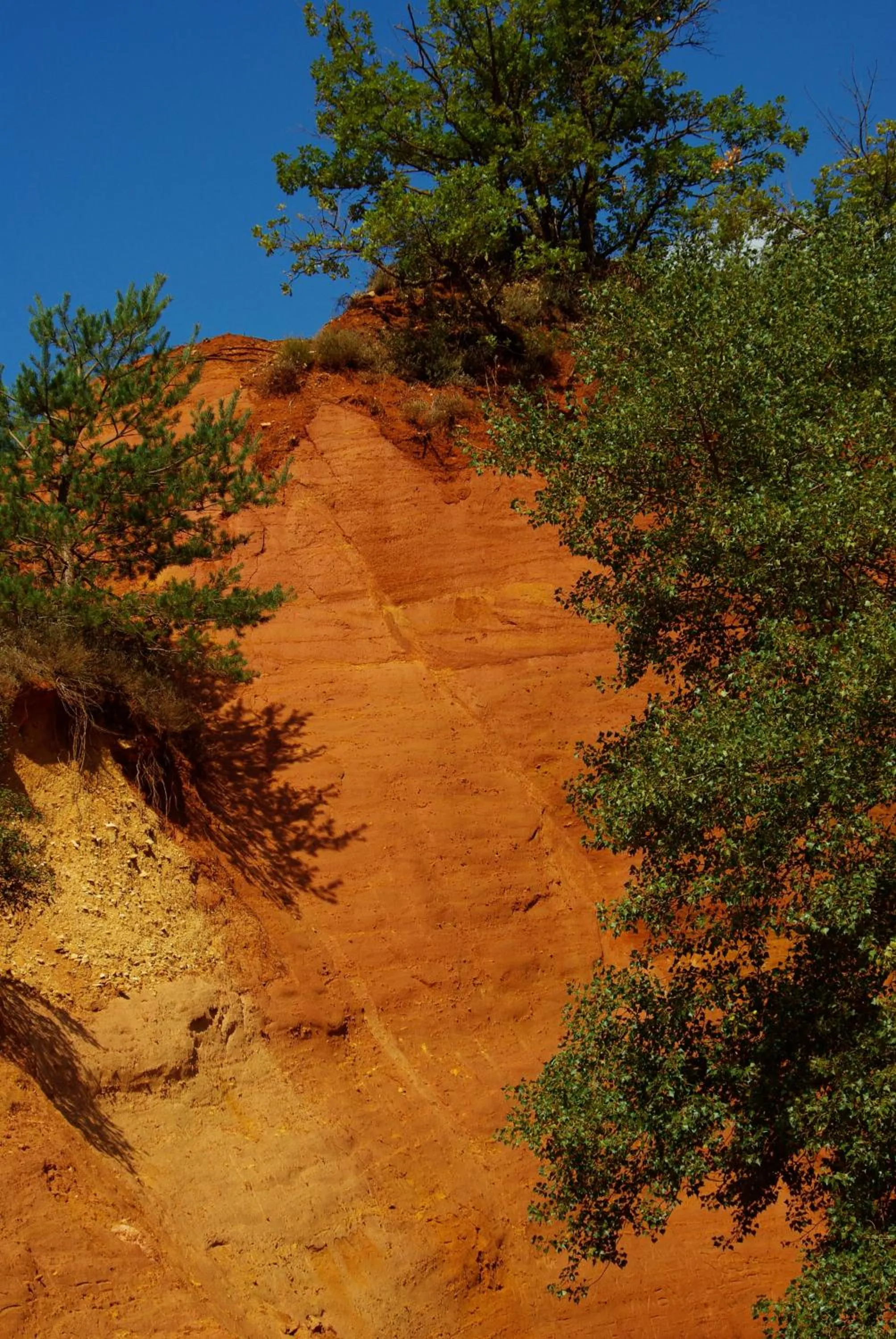 Nearby landmark in B&B Villa Viva Vitale