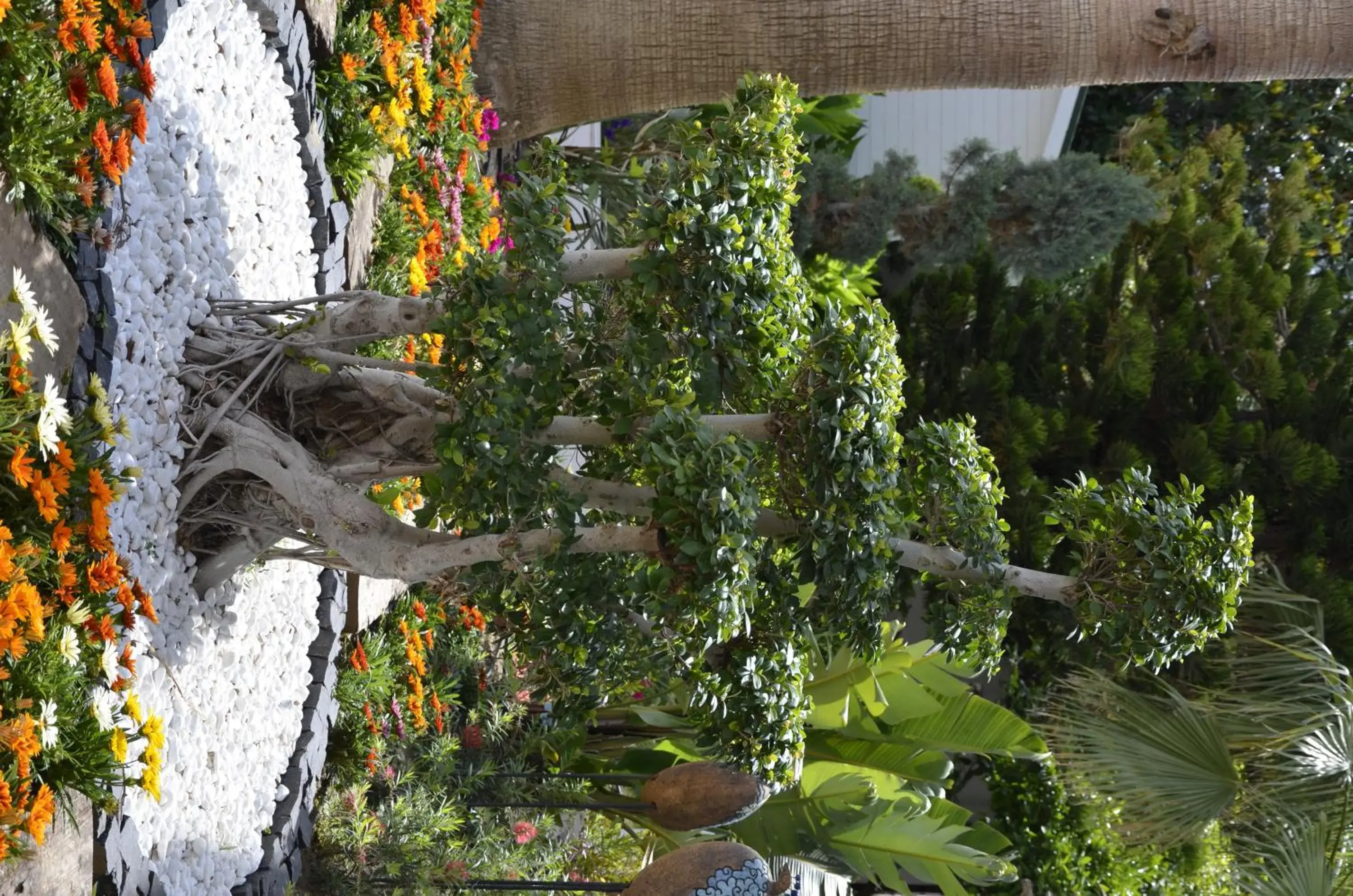Garden in Side Resort Hotel