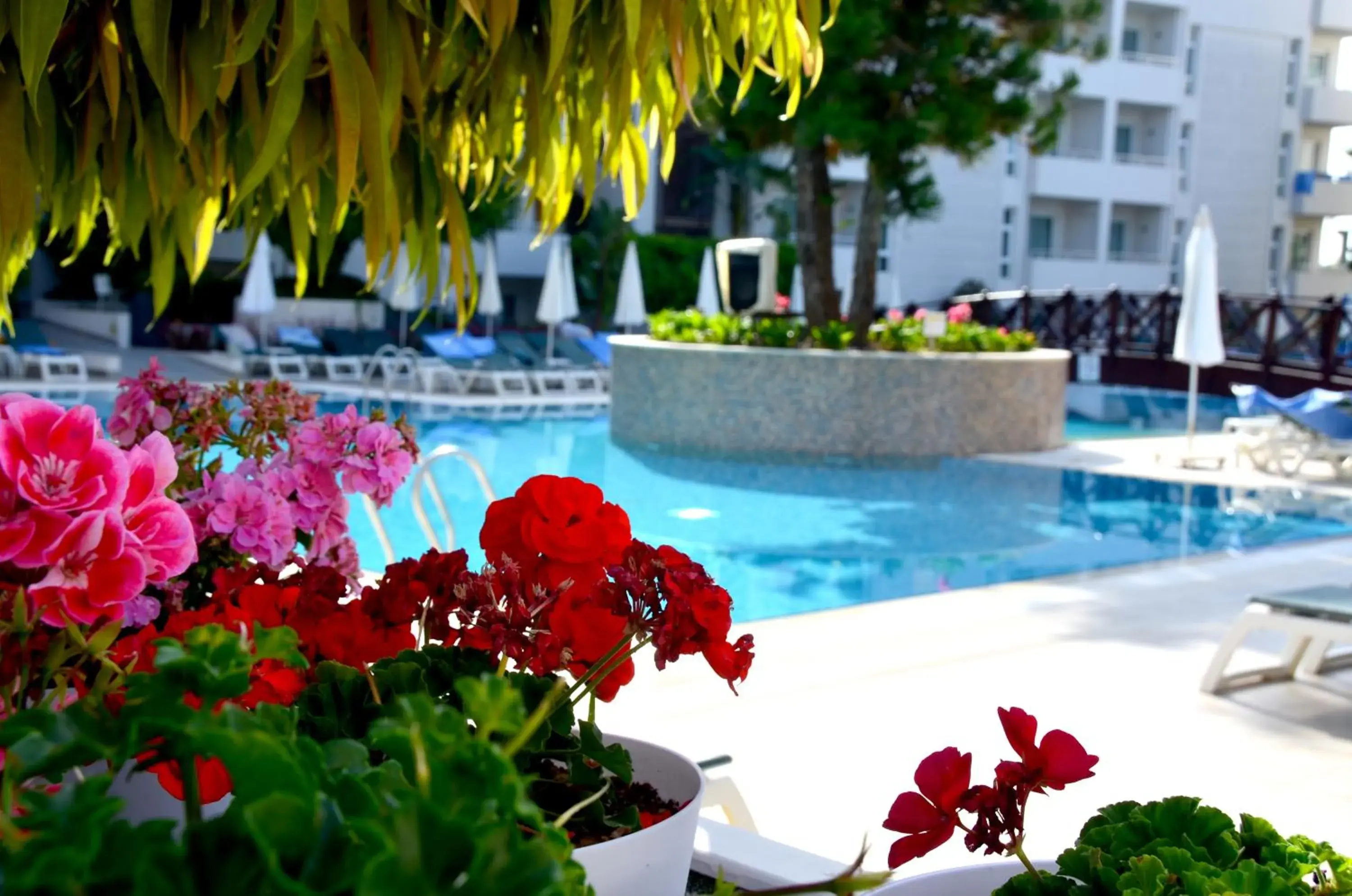 Garden, Swimming Pool in Side Resort Hotel