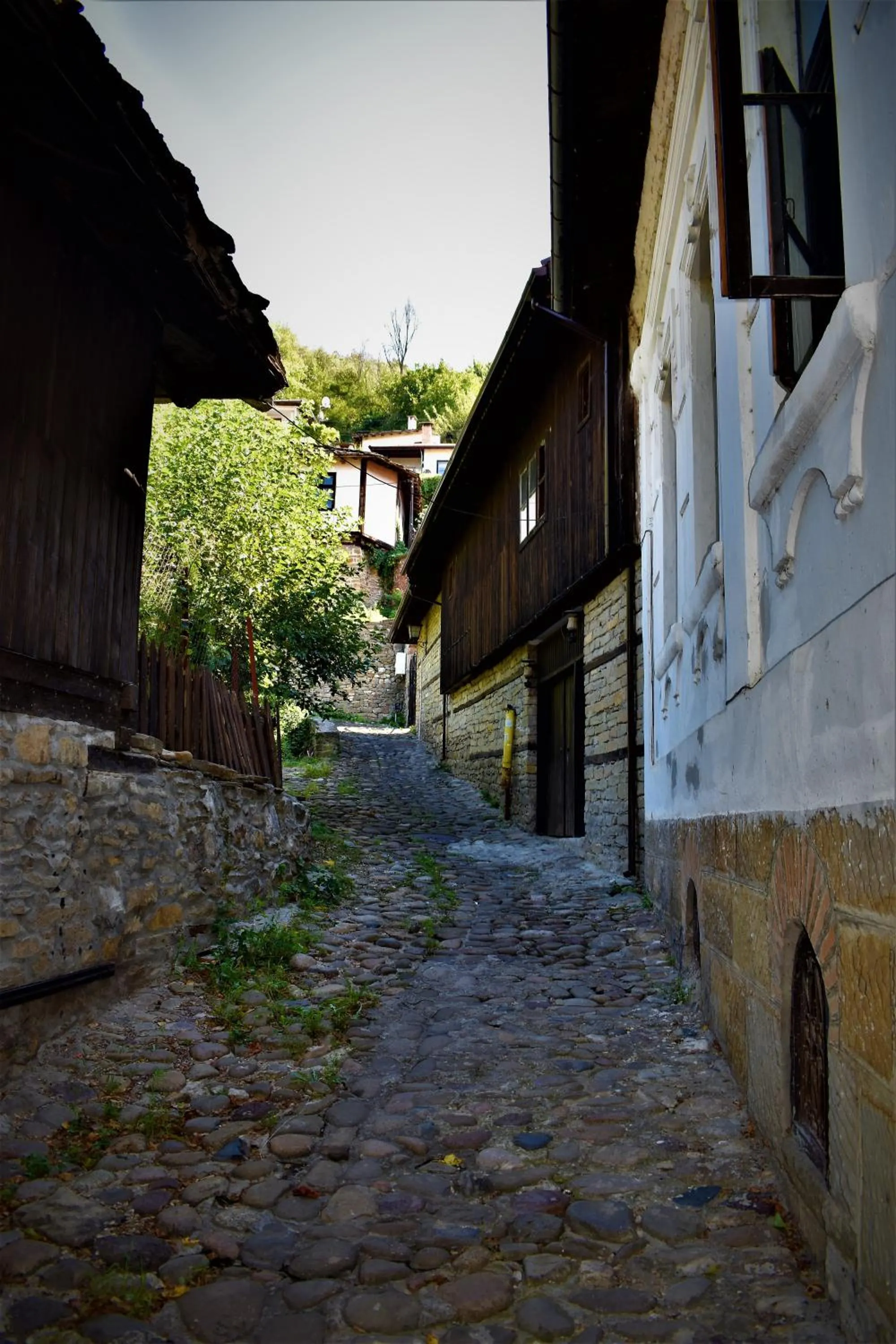 Hotel Bilyana