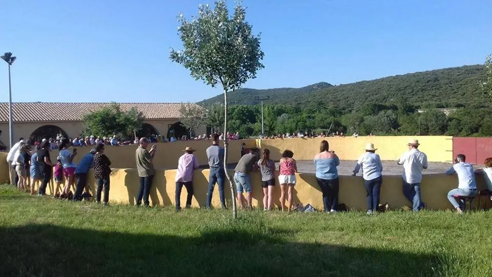 Entertainment in Chambres d'hôtes au Mas du Sire