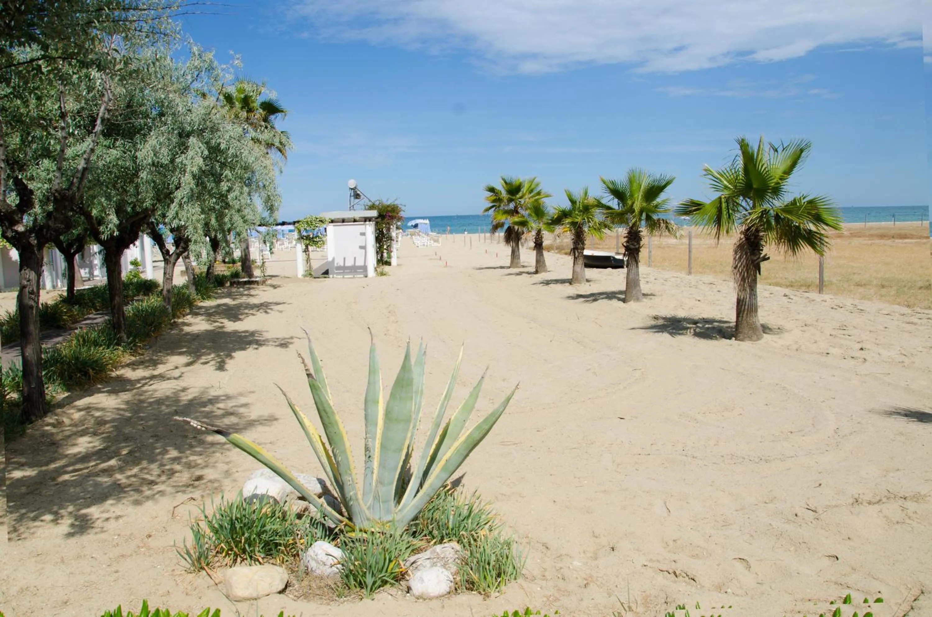 Day in Almaluna Hotel & Resort