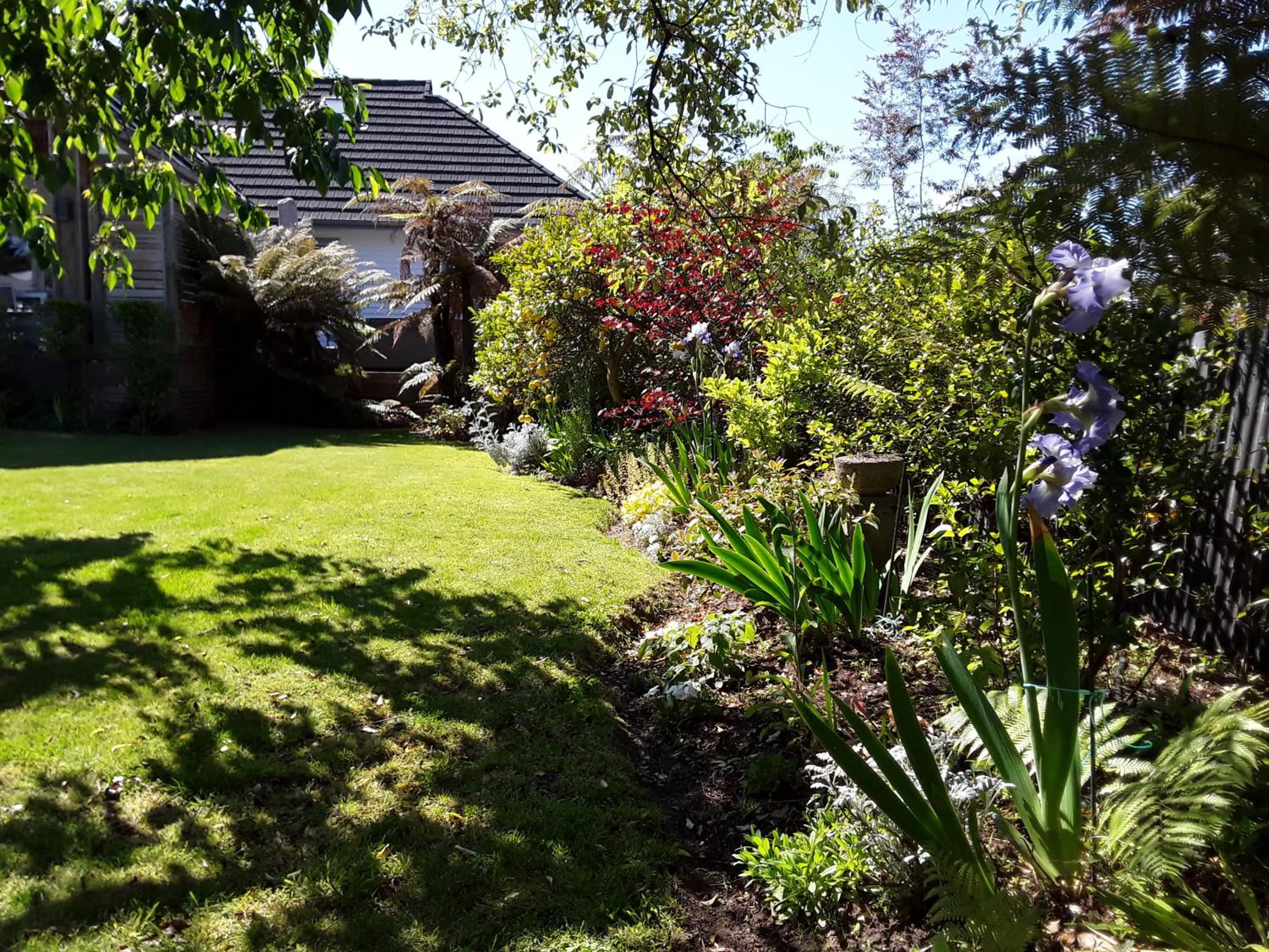 No. 6 Heathcote