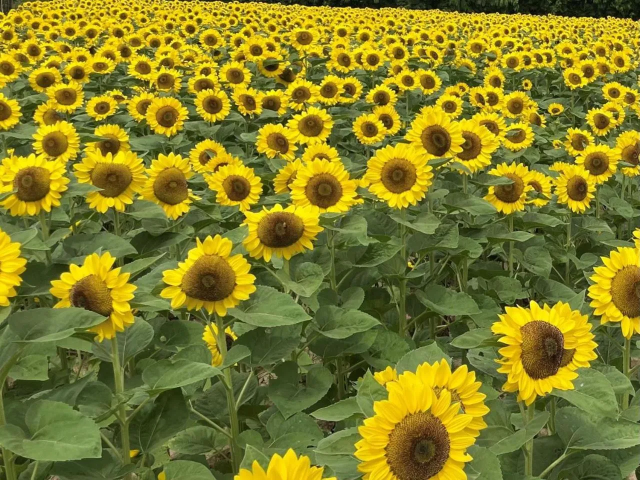 Nearby landmark in Vessel Hotel Fukuyama