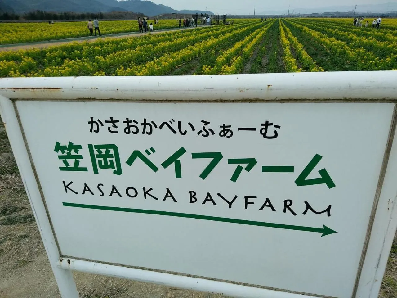 Nearby landmark in Vessel Hotel Kurashiki