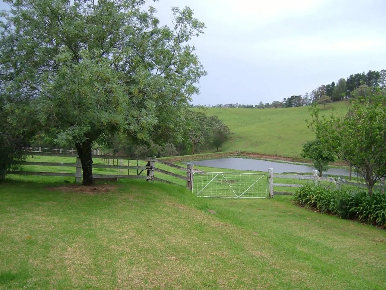 Garden in Hermitage Cottage