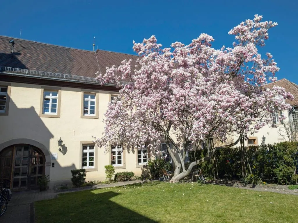 Property building in Hotel & Café Ritter von Böhl