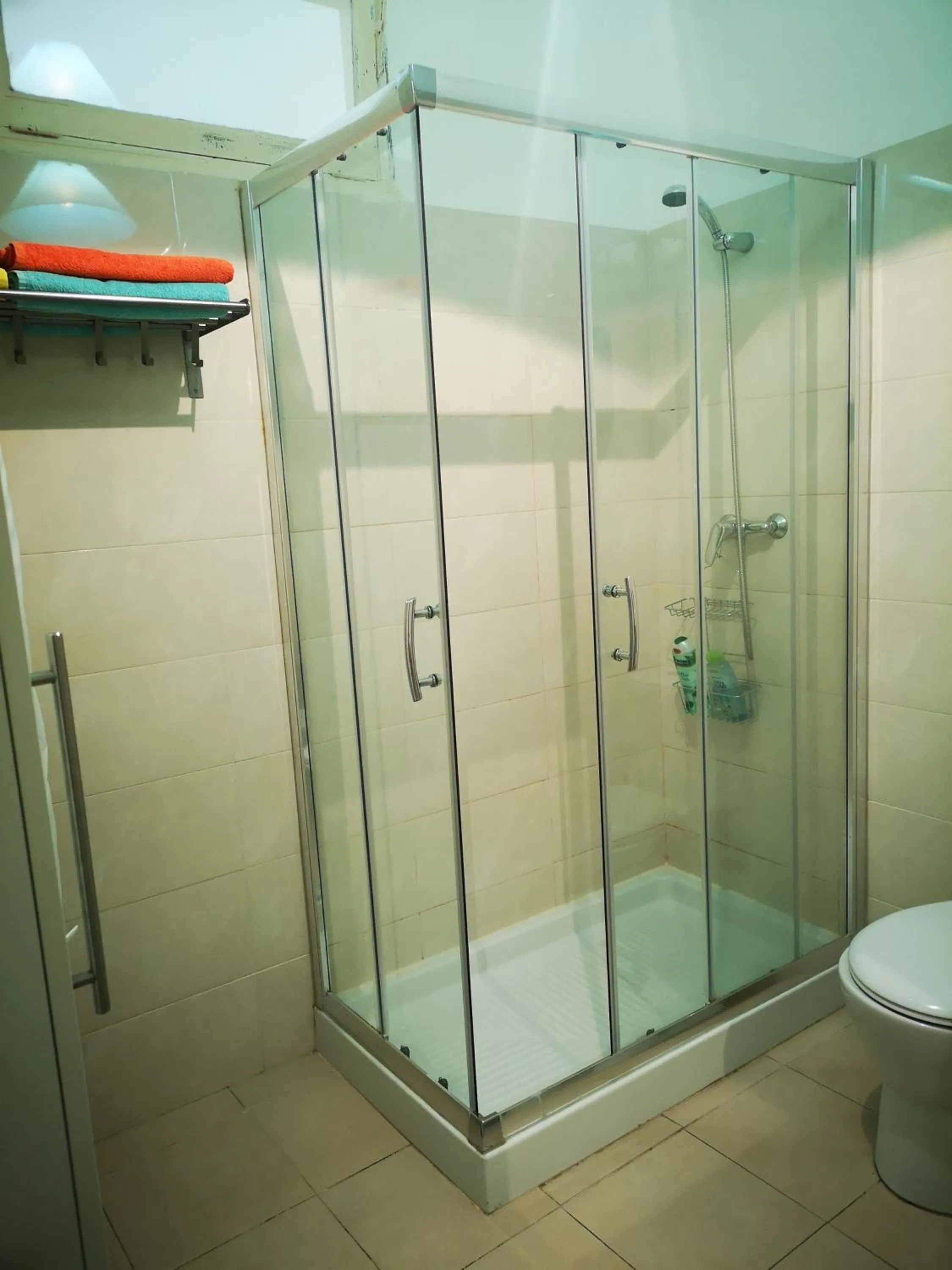 Shower in Cardal Apartment