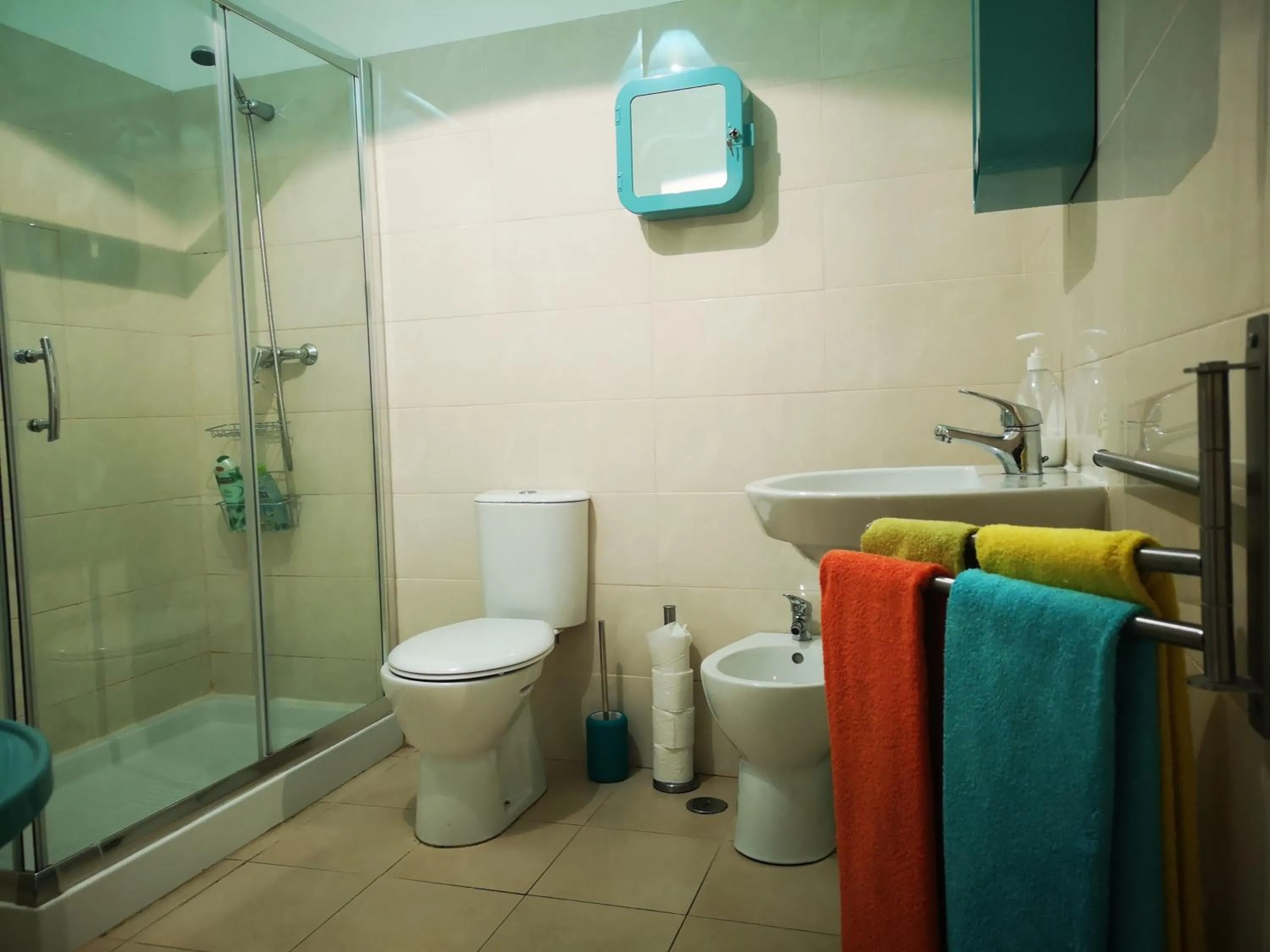Shower in Cardal Apartment