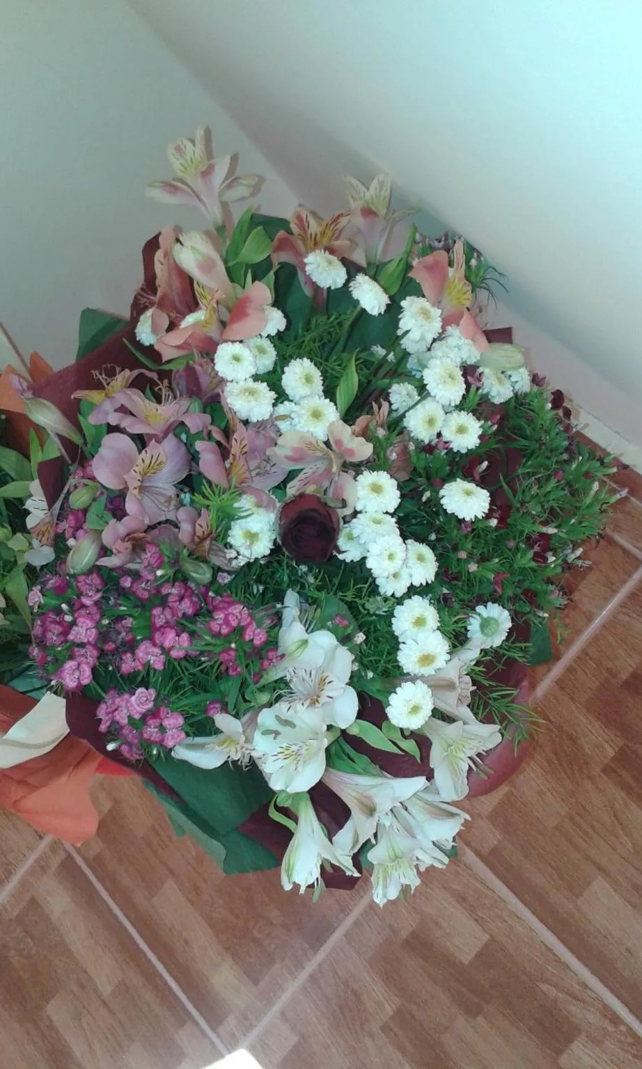 Spring in Guest House Orzu