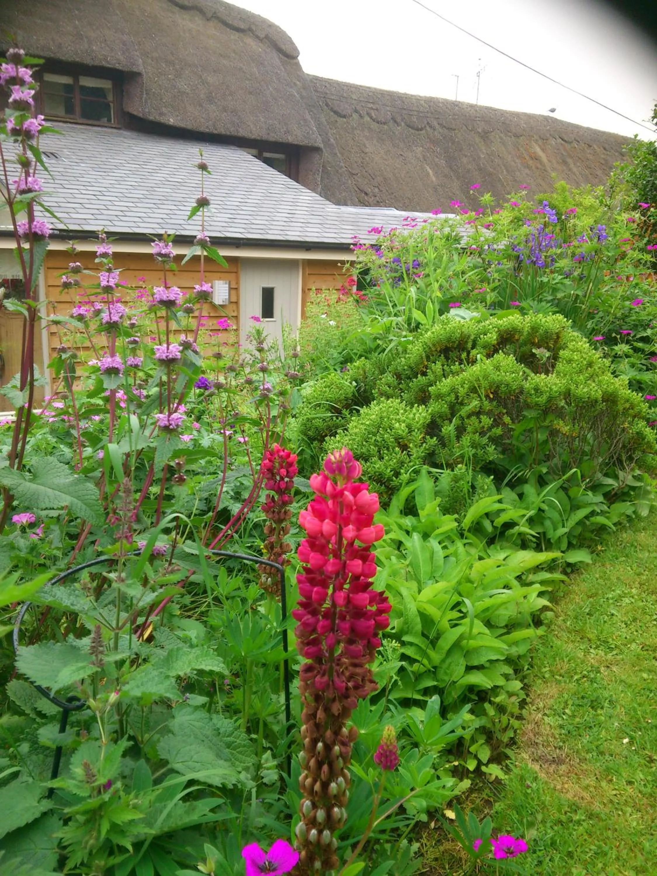 Garden view in The Steppes Holiday Cottages
